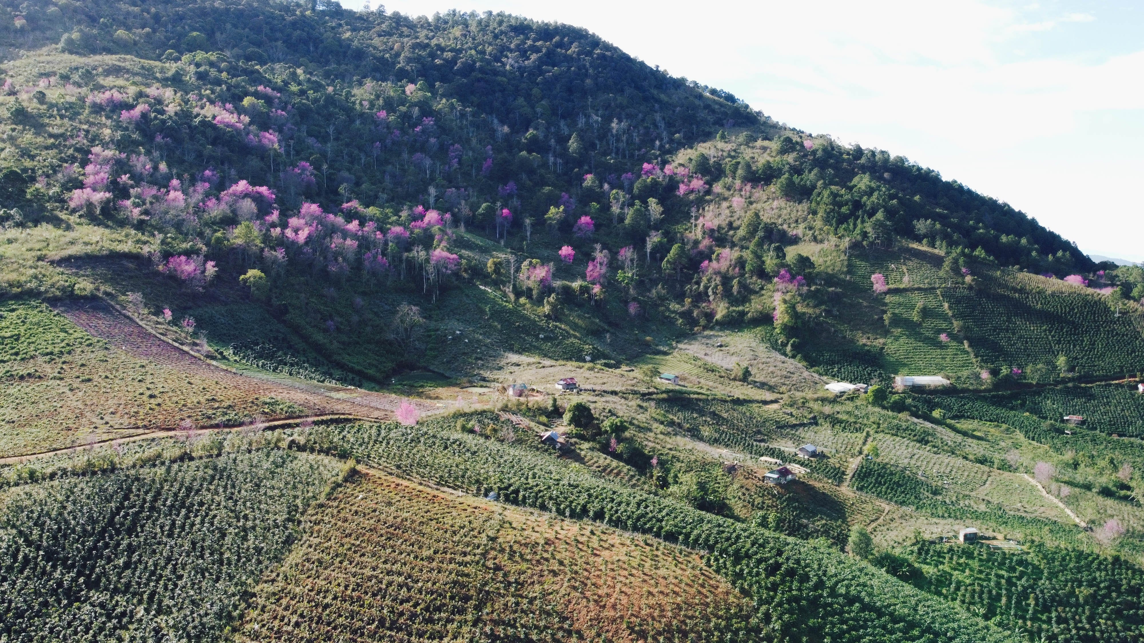 Du lich Da Lat anh 5