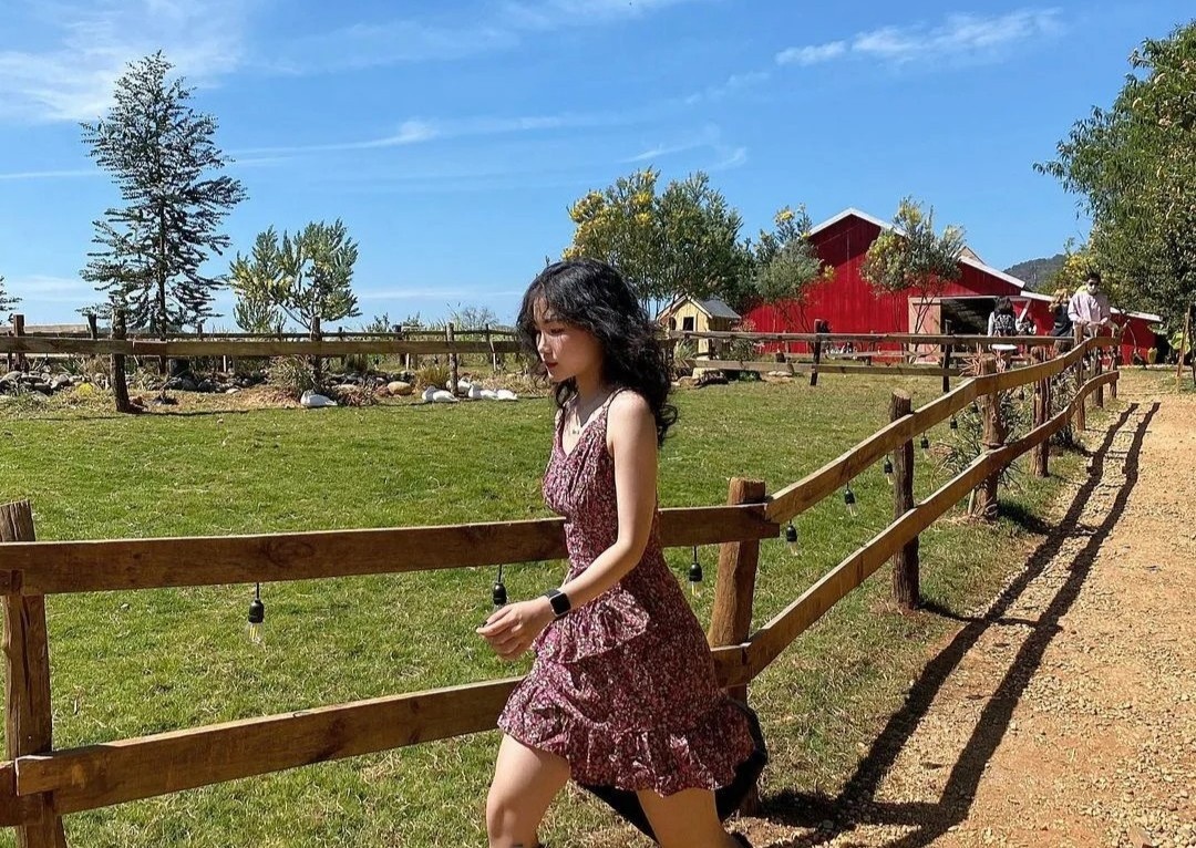 Du lich Da Lat dau nam can luu y gi? hinh anh