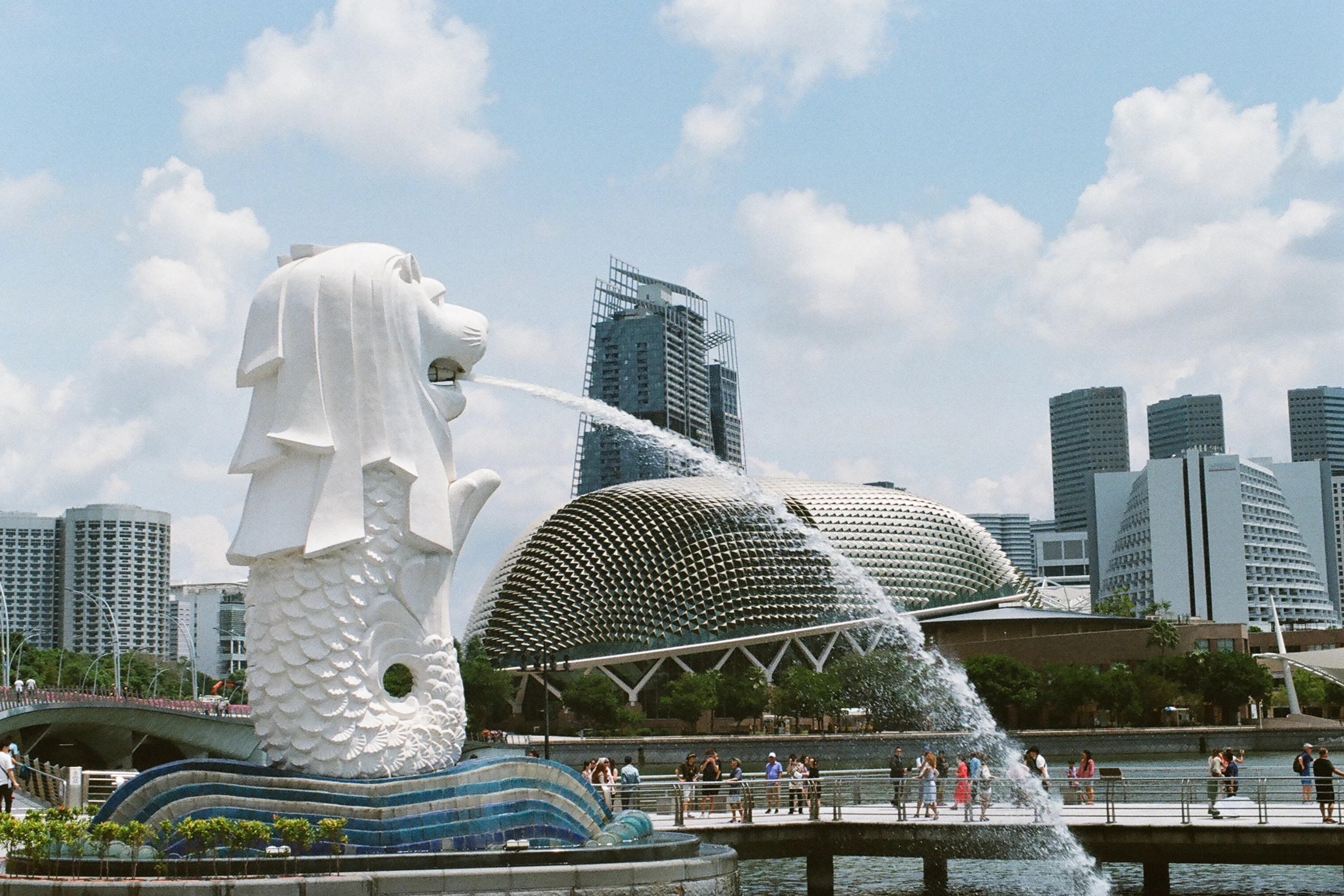 Du lich Singapore tung buoc phuc hoi hinh anh