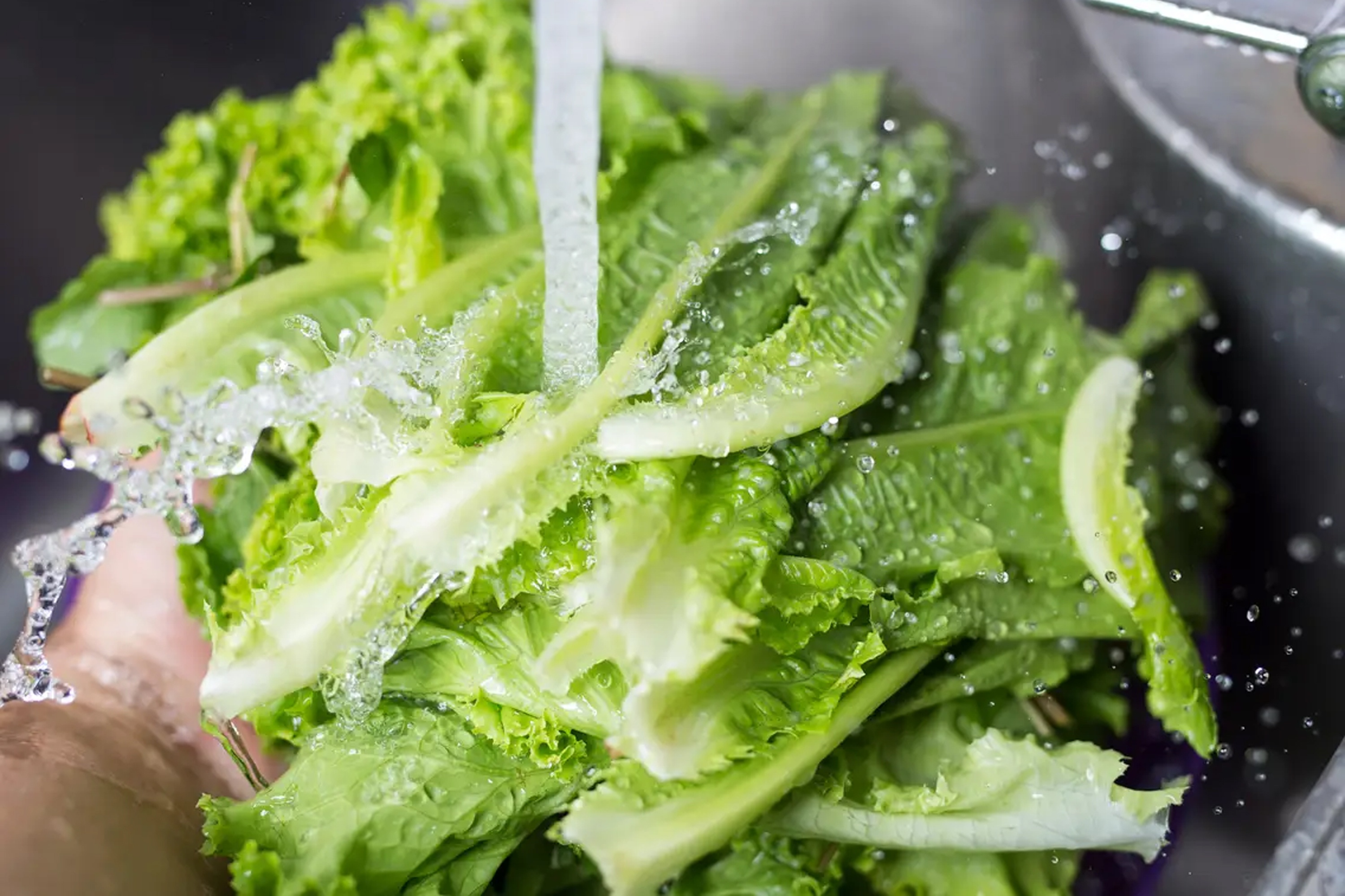 2 mon rau de lam cho nguoi moi vao bep anh 4