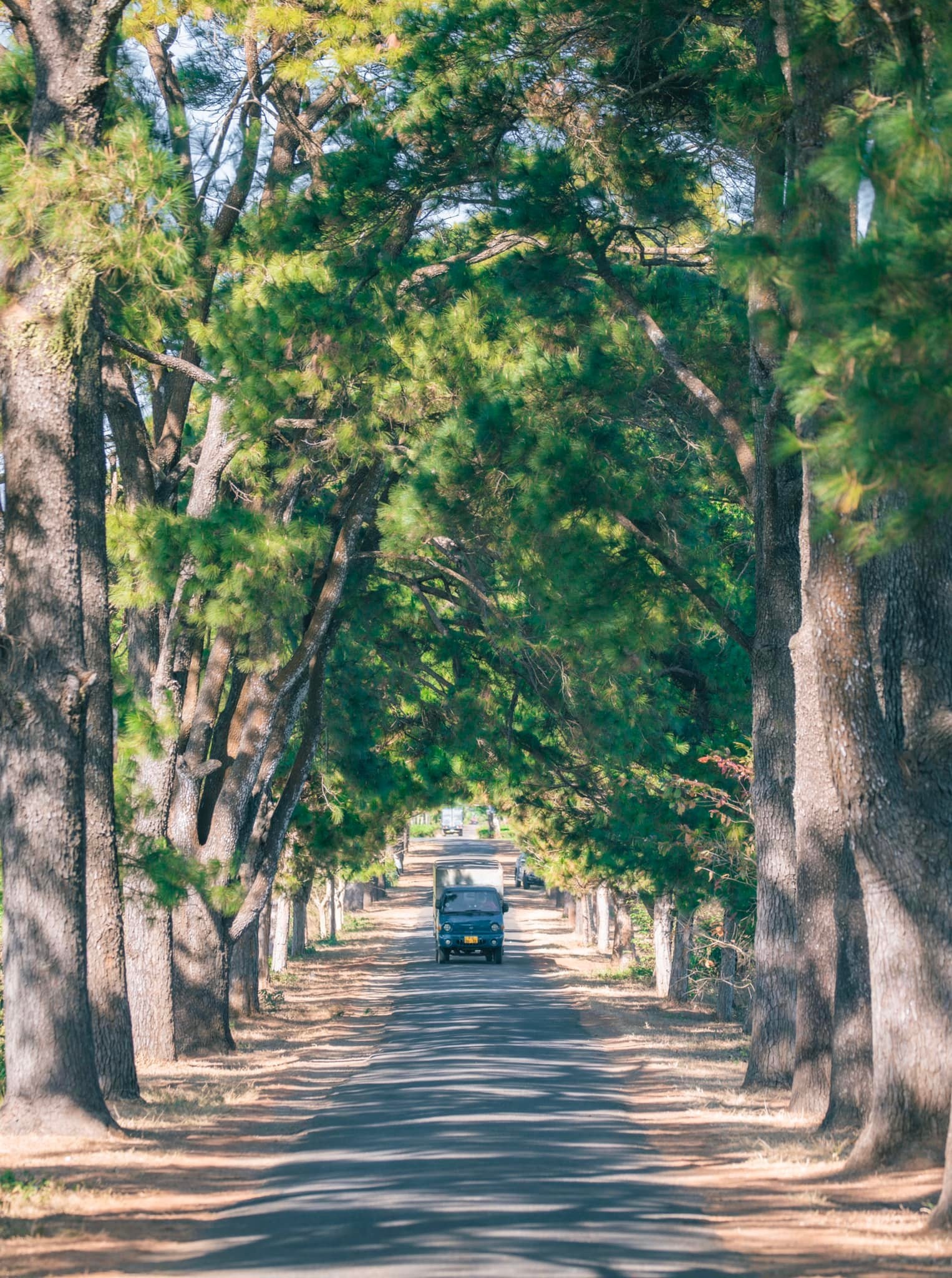 Mo cua du lich anh 4