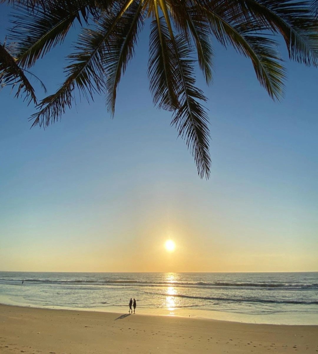 Resort Phan Thiet anh 8