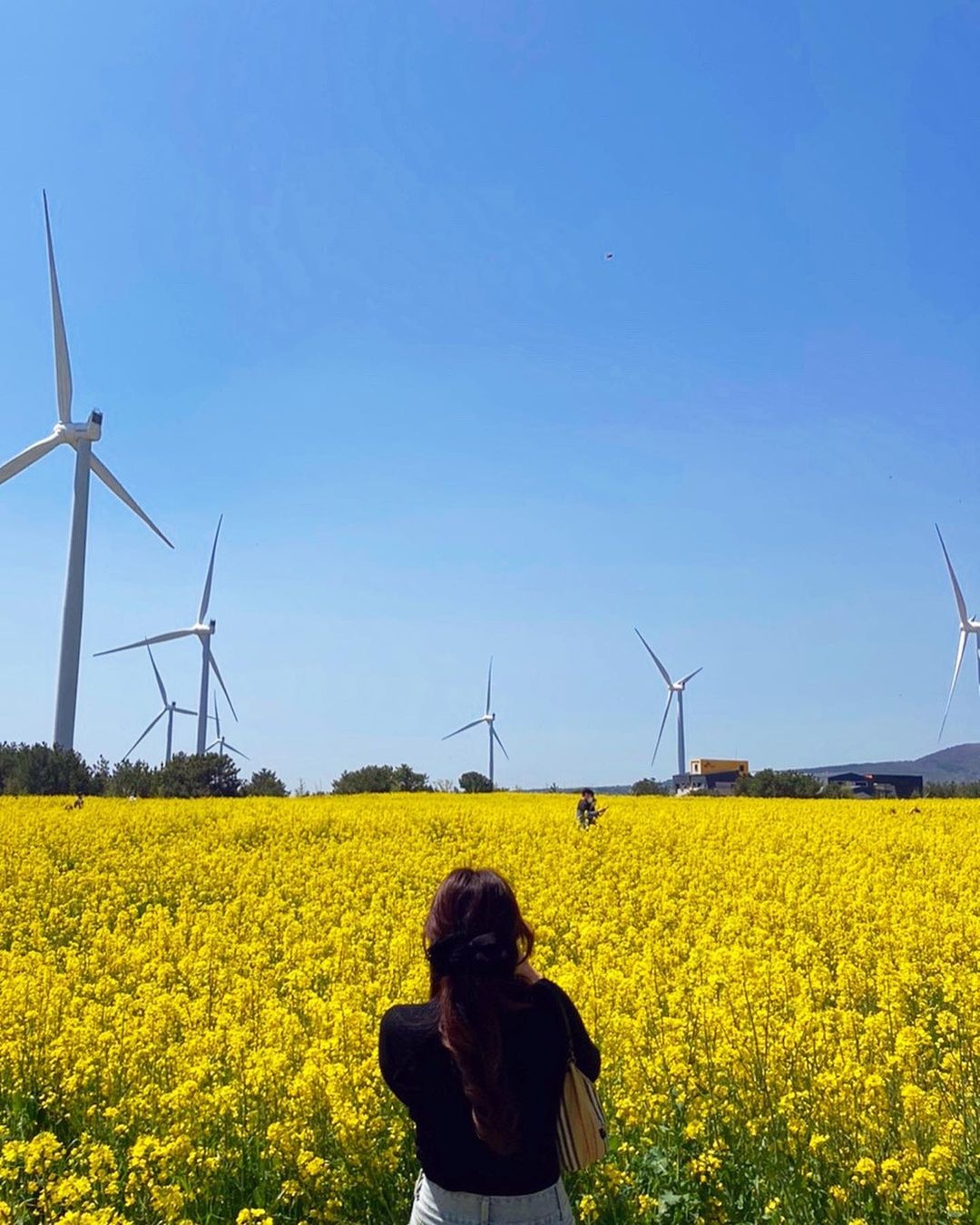 du lich Han Quoc anh 1