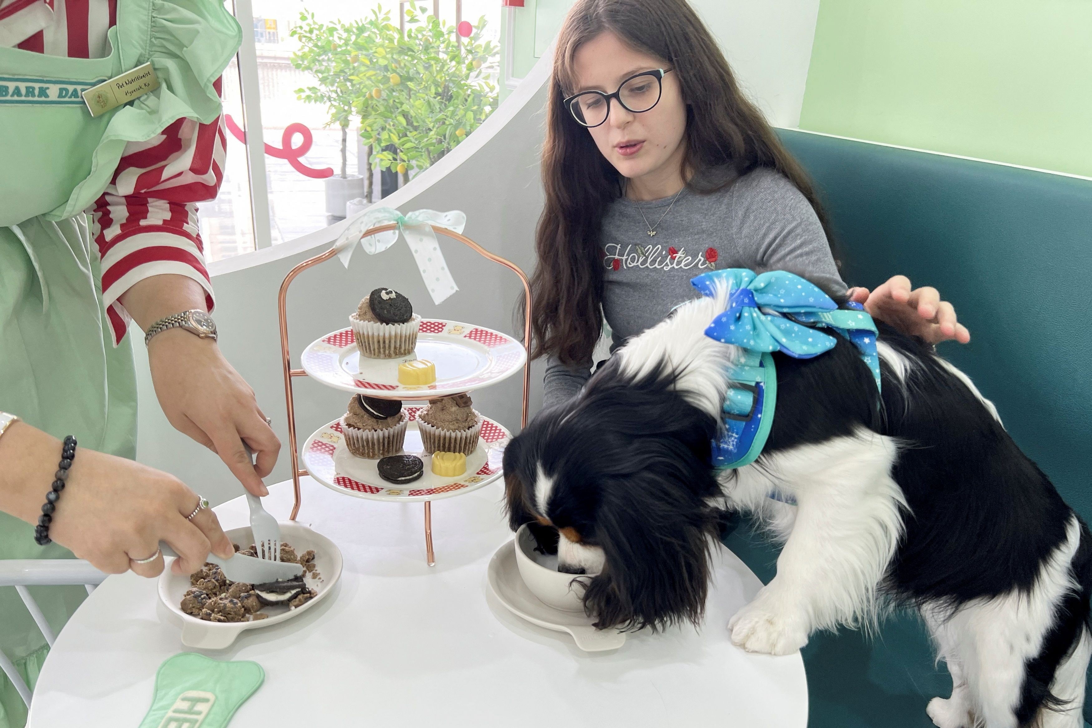 Tiem ca phe phuc vu thu cung o Dubai hinh anh