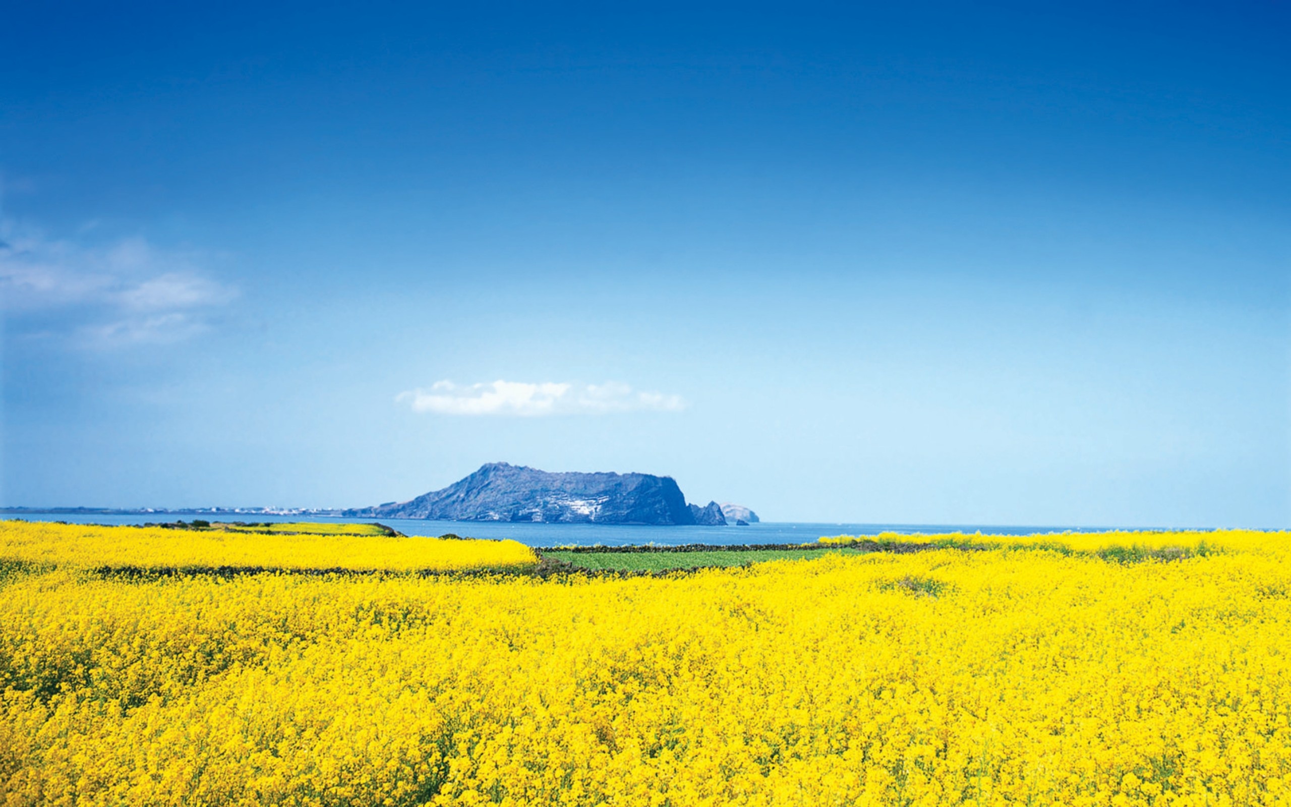 du lich Han Quoc anh 1