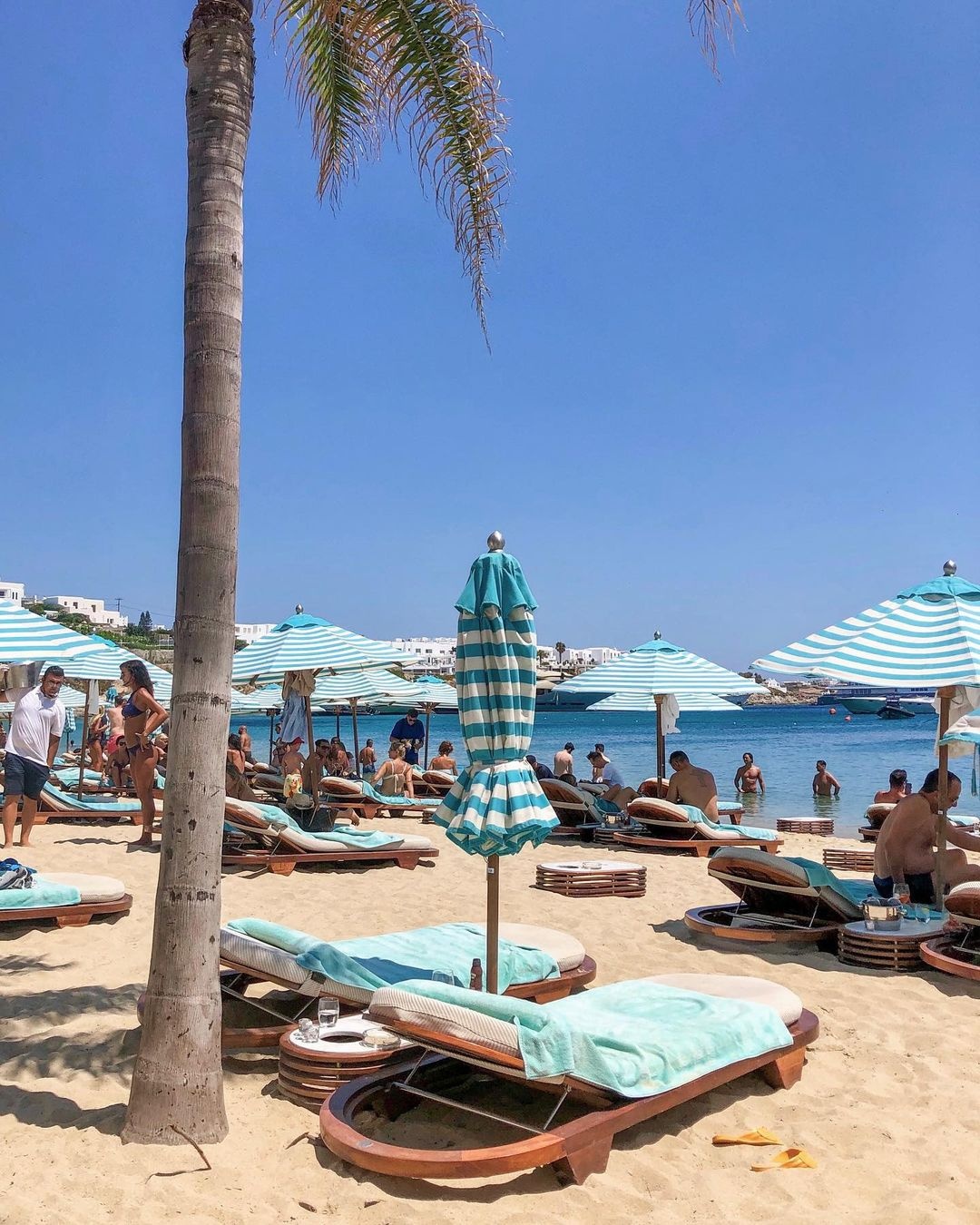 Elon Musk ảnh 4 Elon Musk anh 4