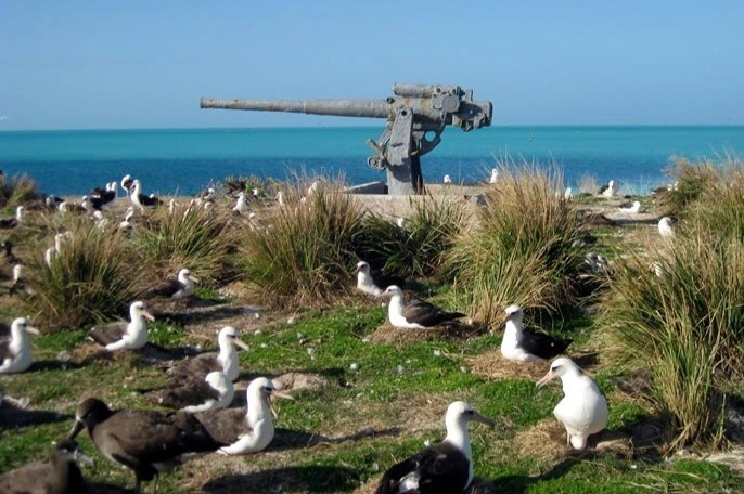 Hon dao bi bo hoang gan thap ky o My hinh anh