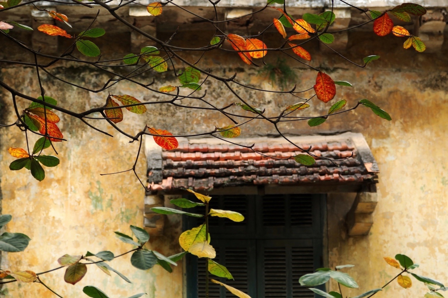 Ly do nen du lich vao thoi diem giao mua hinh anh