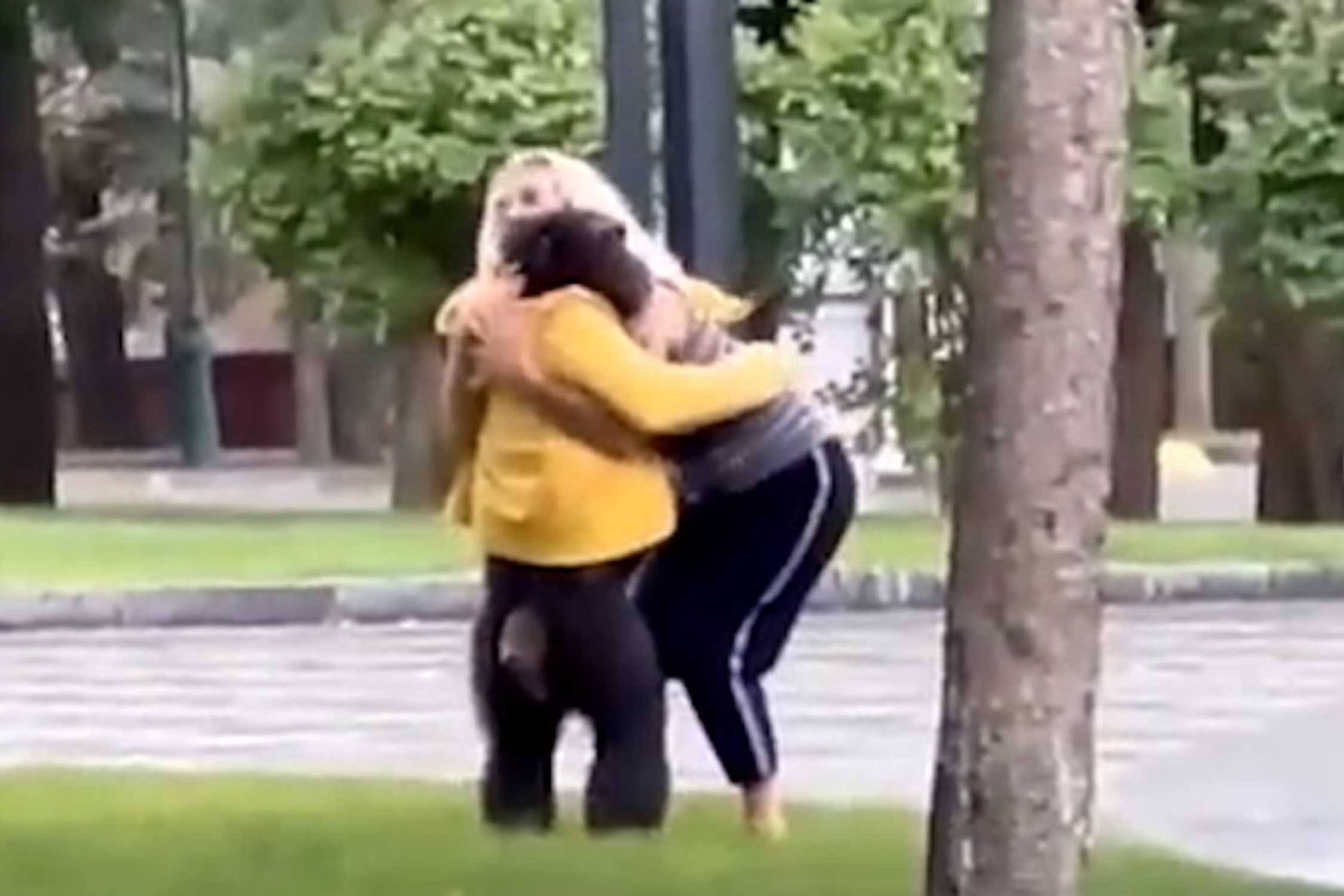 Tinh tinh quay lai so thu sau khi duoc om va mac ao mua hinh anh