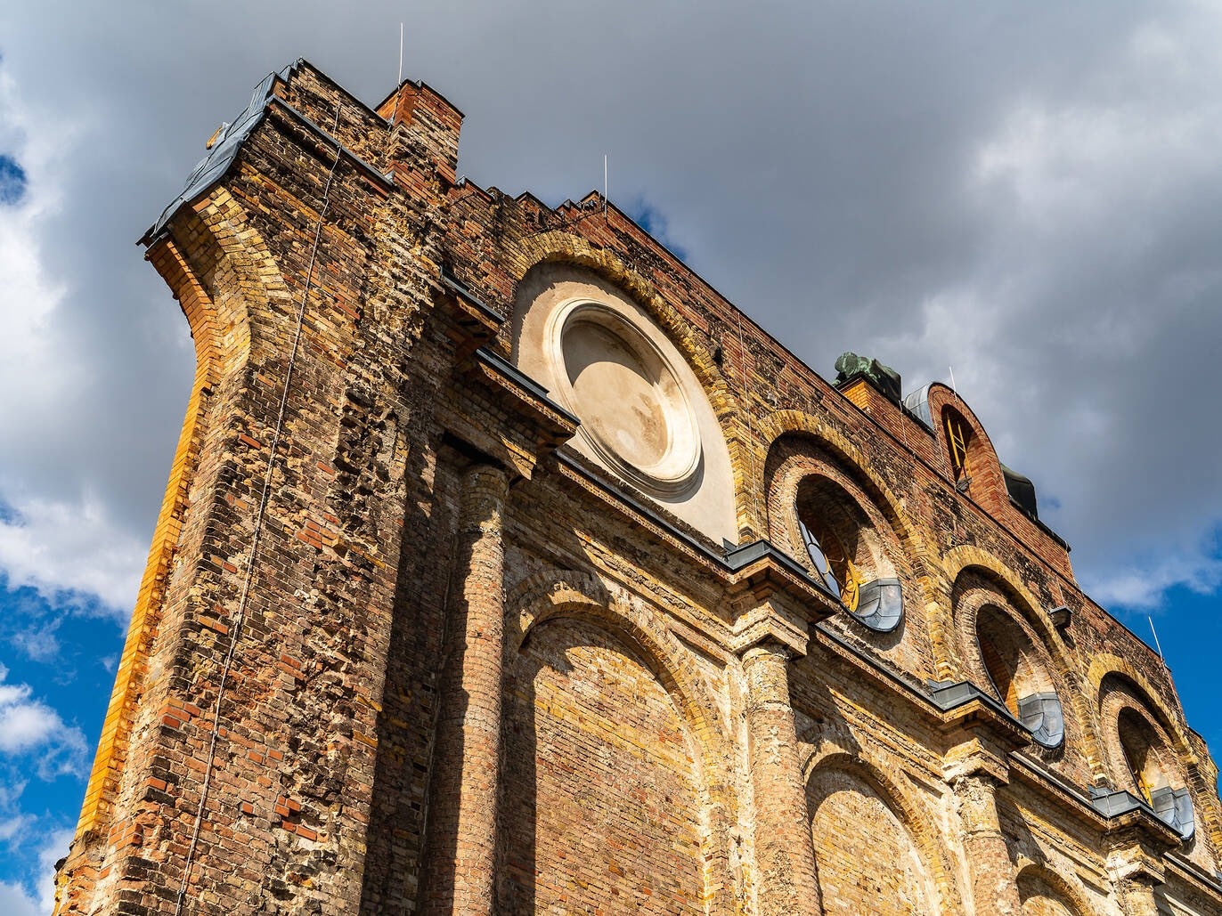 ga tau bo hoang anh 9