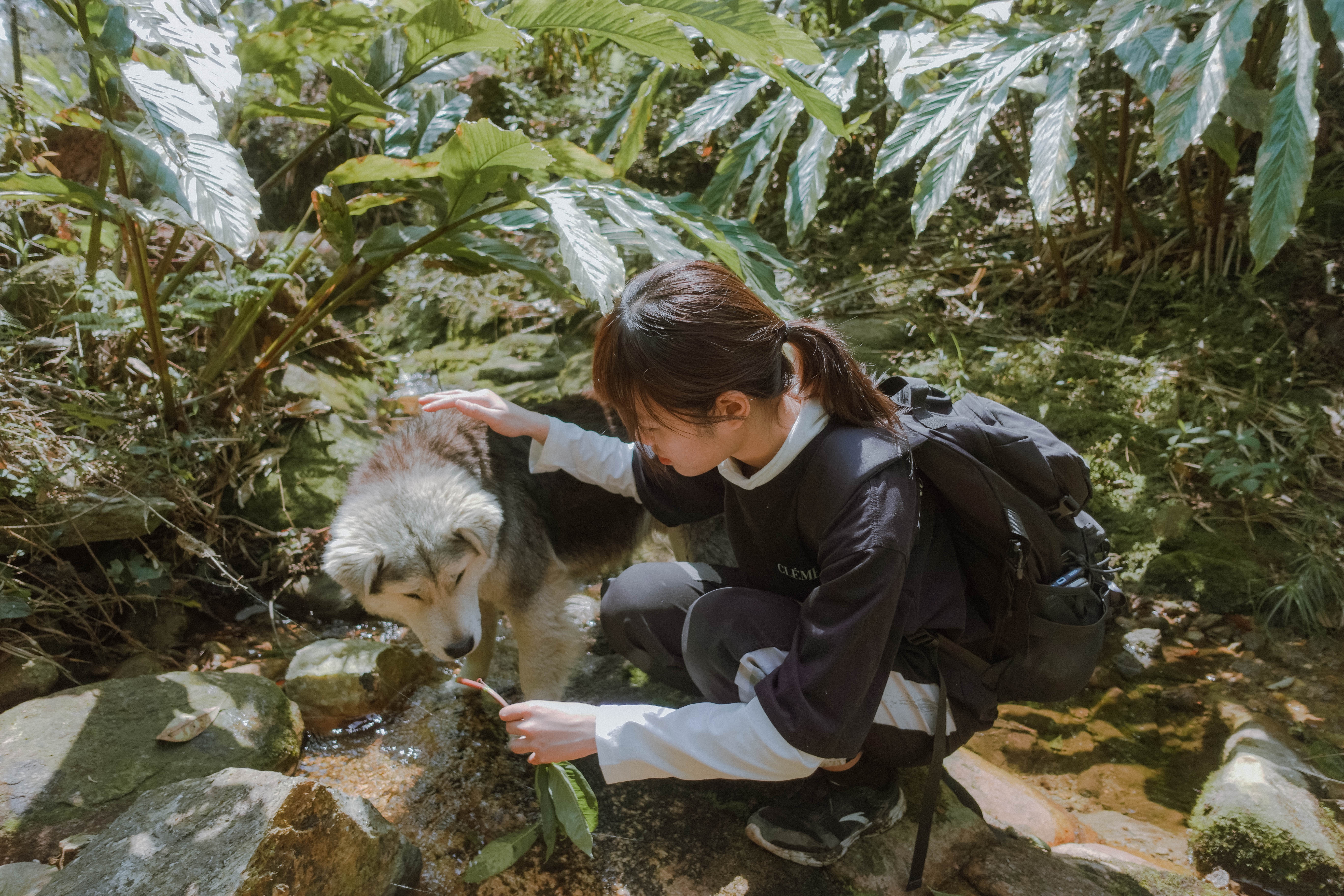 Cú Nhù San ảnh 19 Cu Nhu San anh 19