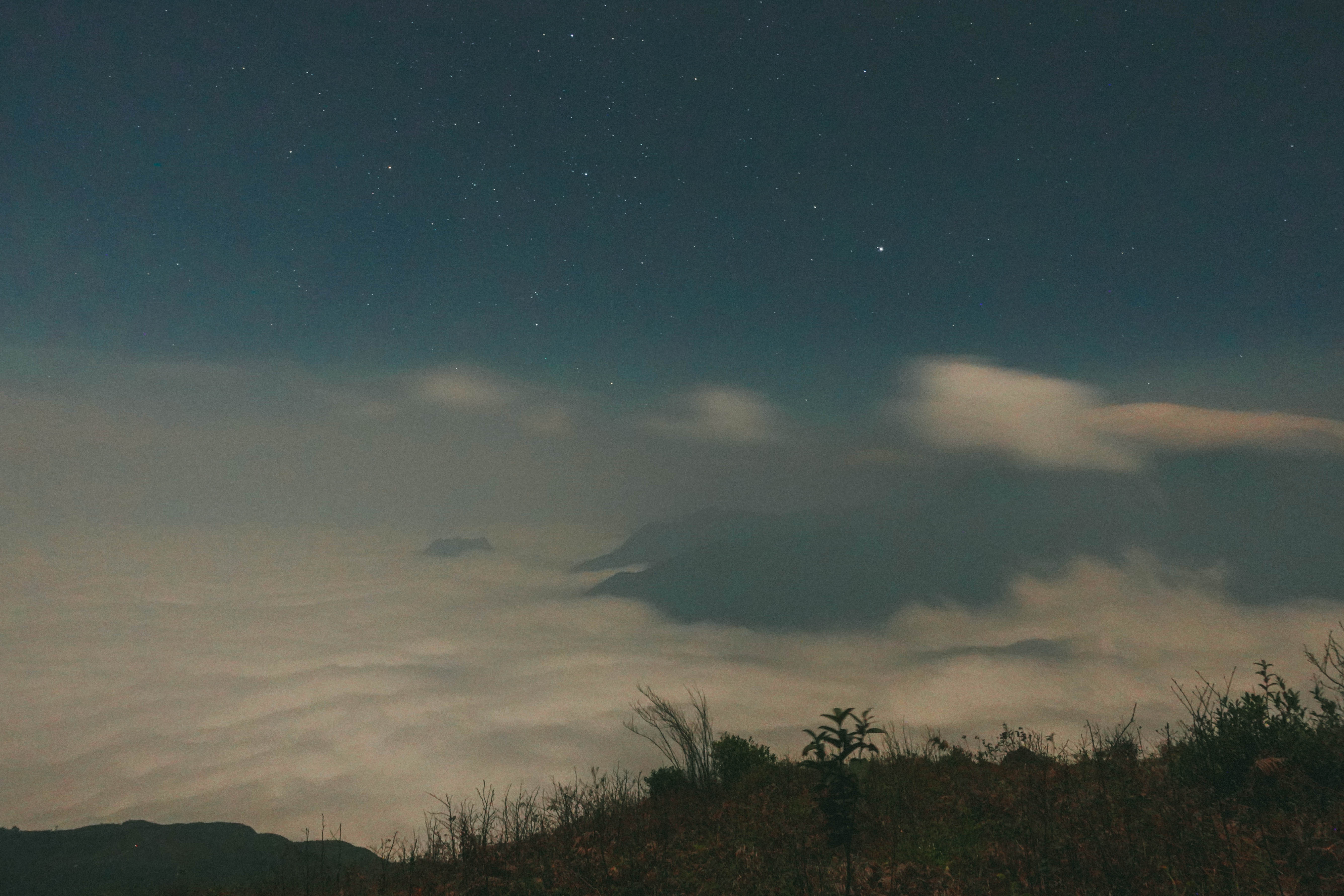 Cú Nhù San ảnh 11 Cu Nhu San anh 11