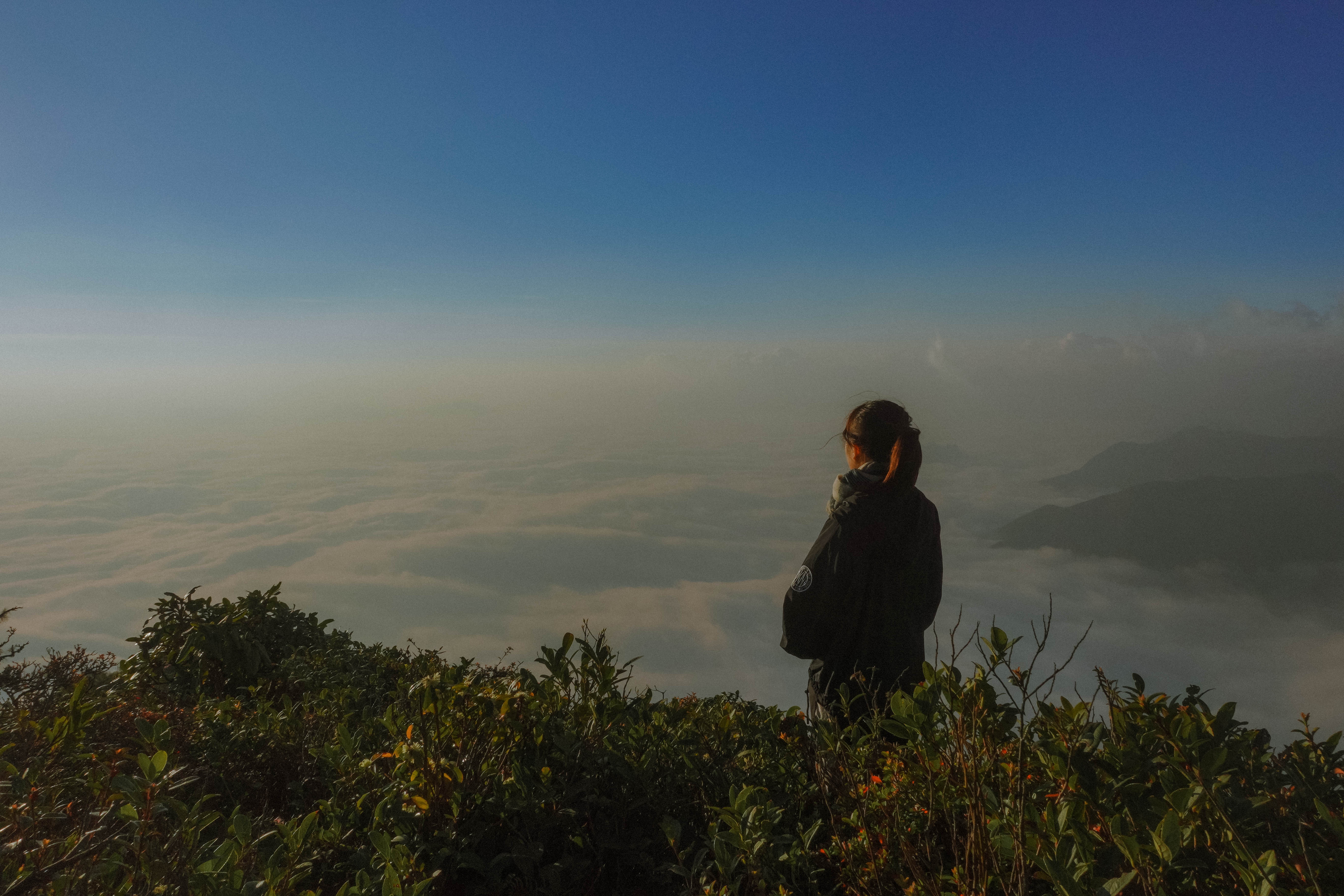 Cú Nhù San ảnh 6 Cu Nhu San anh 6