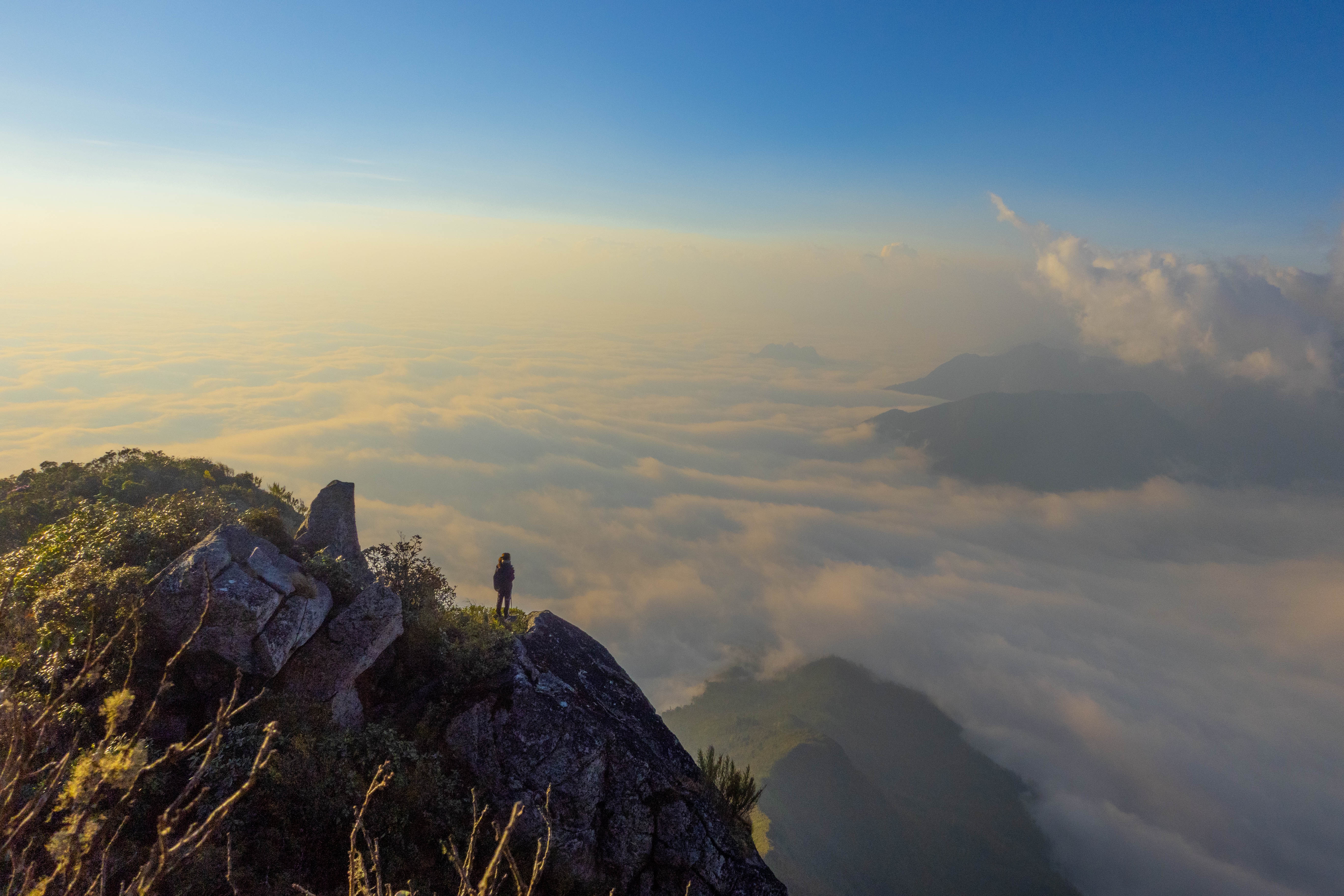 Cú Nhù San ảnh 4 Cu Nhu San anh 4