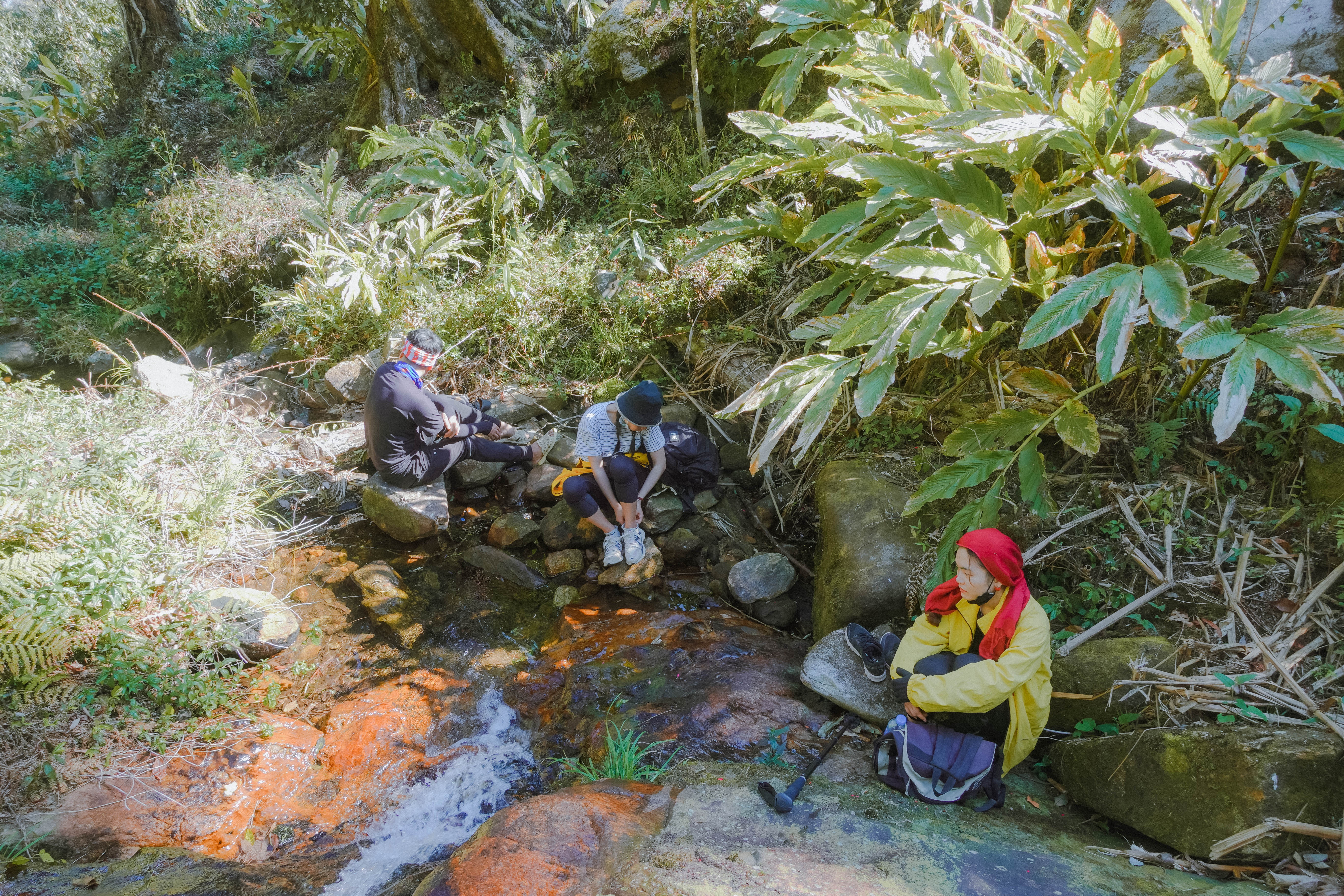 Cú Nhù San ảnh 15 Cu Nhu San anh 15