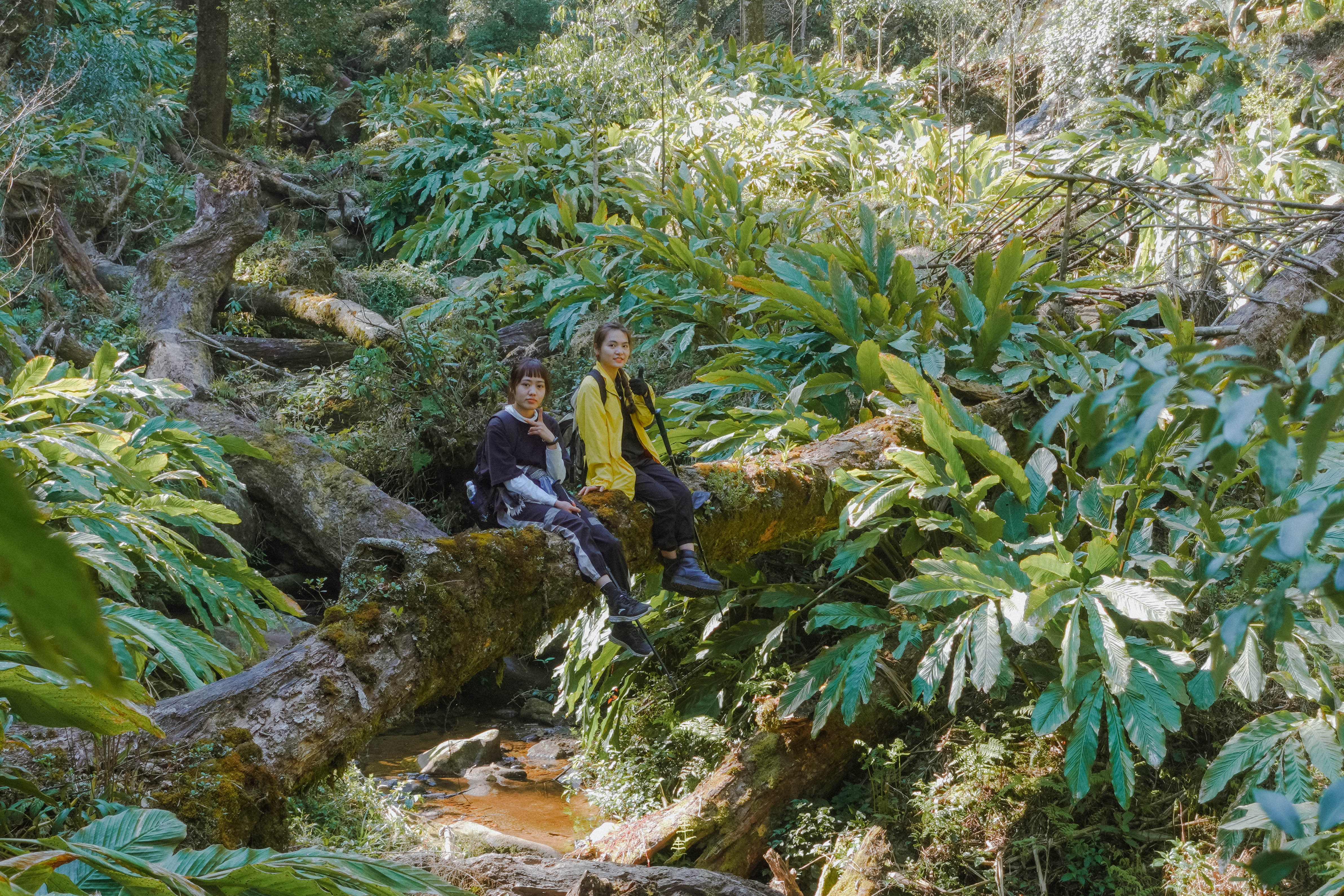 Cú Nhù San ảnh 13 Cu Nhu San anh 13