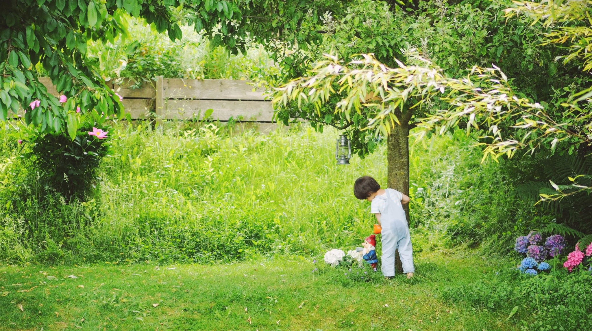 gia dinh Viet,  cuoc song Thuy Si anh 1