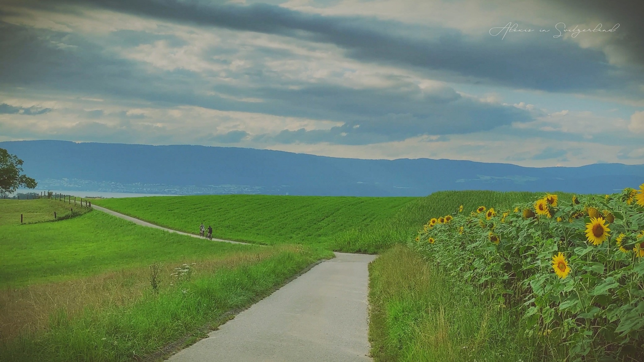 gia dinh Viet,  cuoc song Thuy Si anh 4