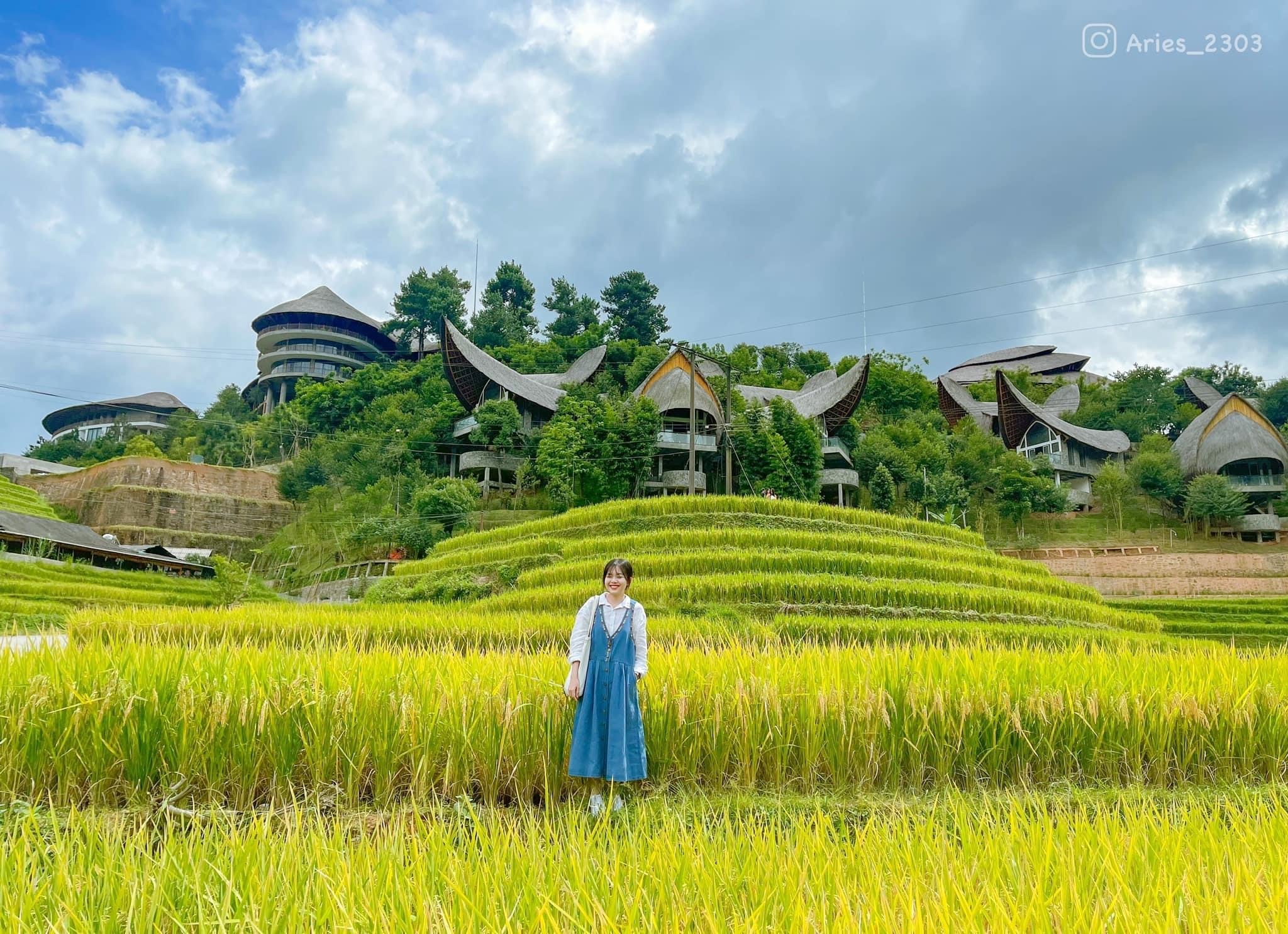 Mu Cang Chai anh 4