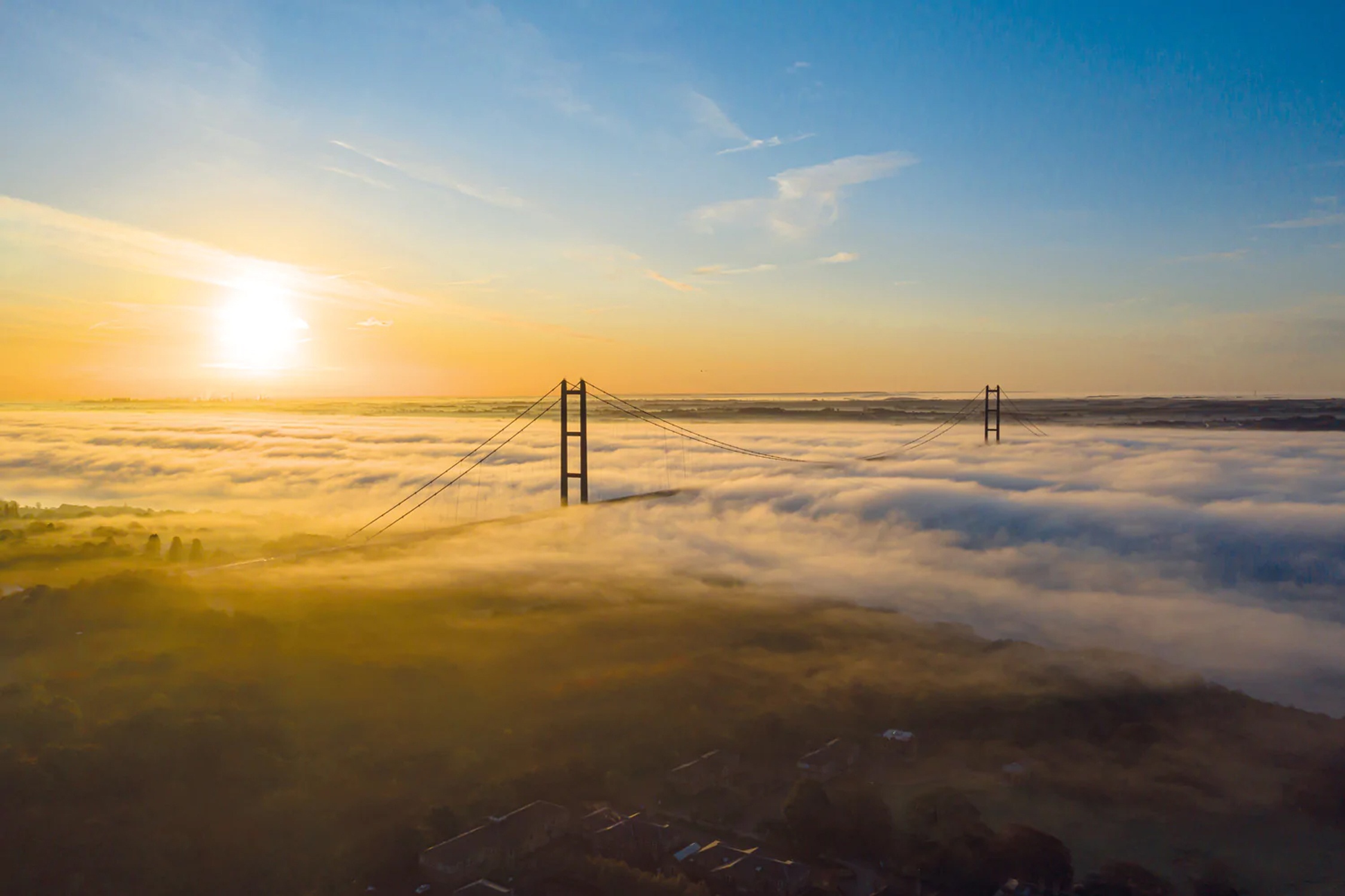 Cay cau bieu tuong chim trong bien suong o Anh hinh anh