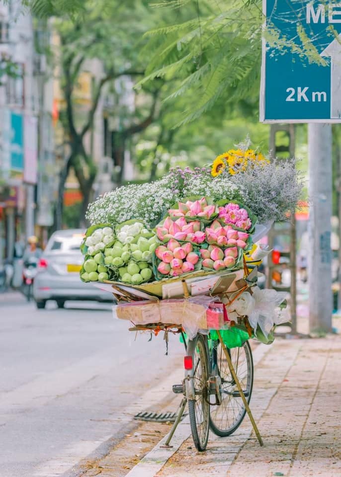 du lịch Việt Nam ảnh 2 du lich Viet Nam anh 2