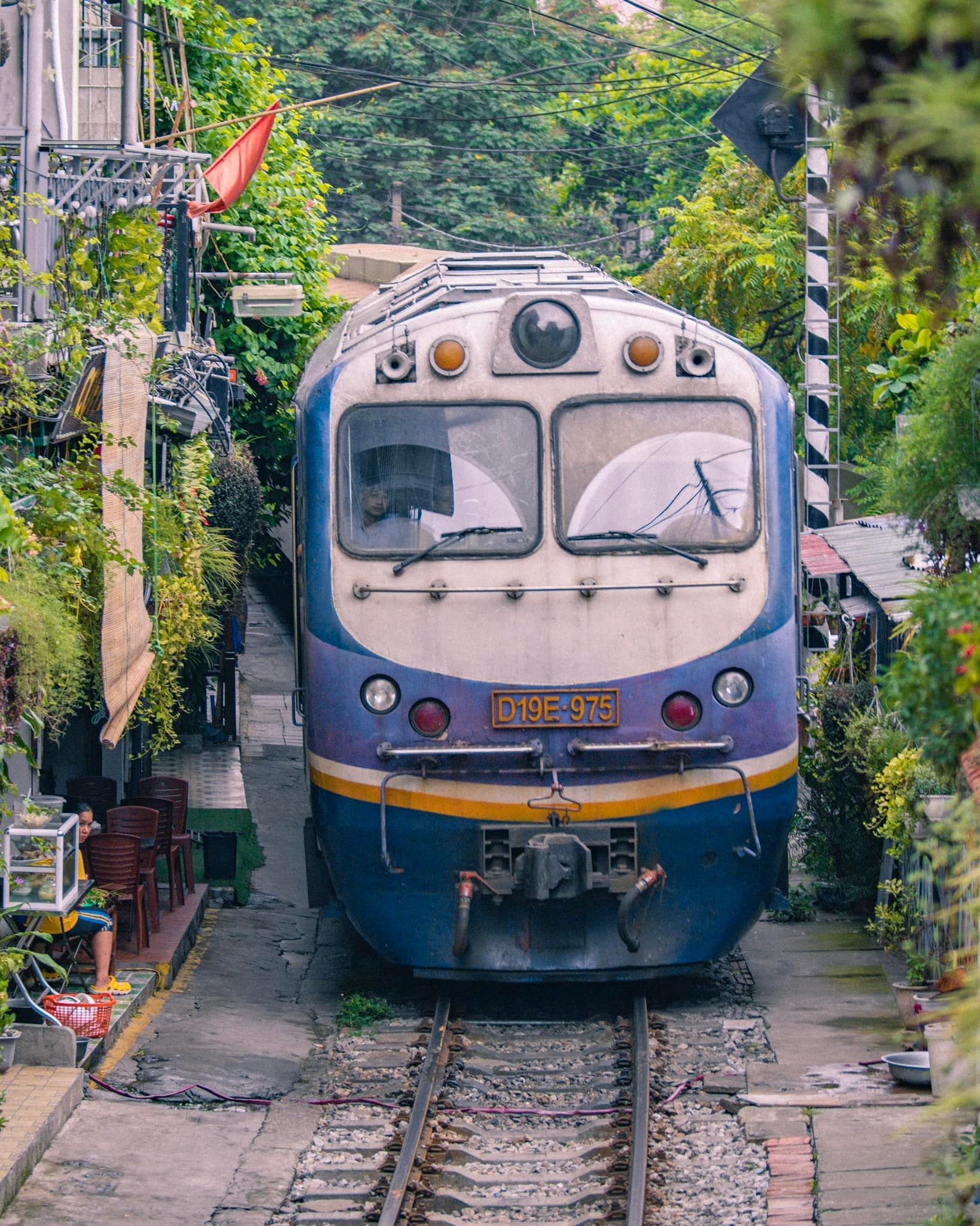 du lịch Việt Nam ảnh 3 du lich Viet Nam anh 3