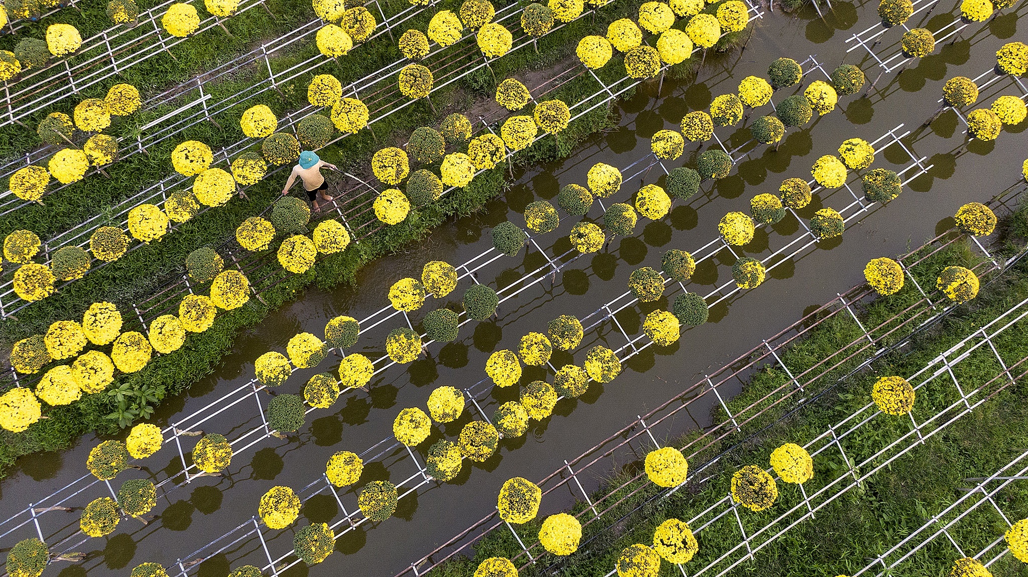 du lich Viet Nam anh 10