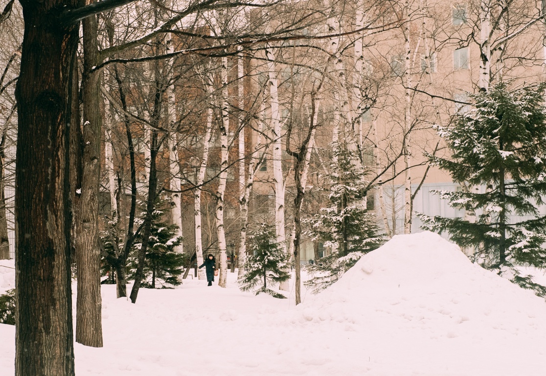 Du lịch Đông Á ảnh 1 Du lich Dong A anh 1