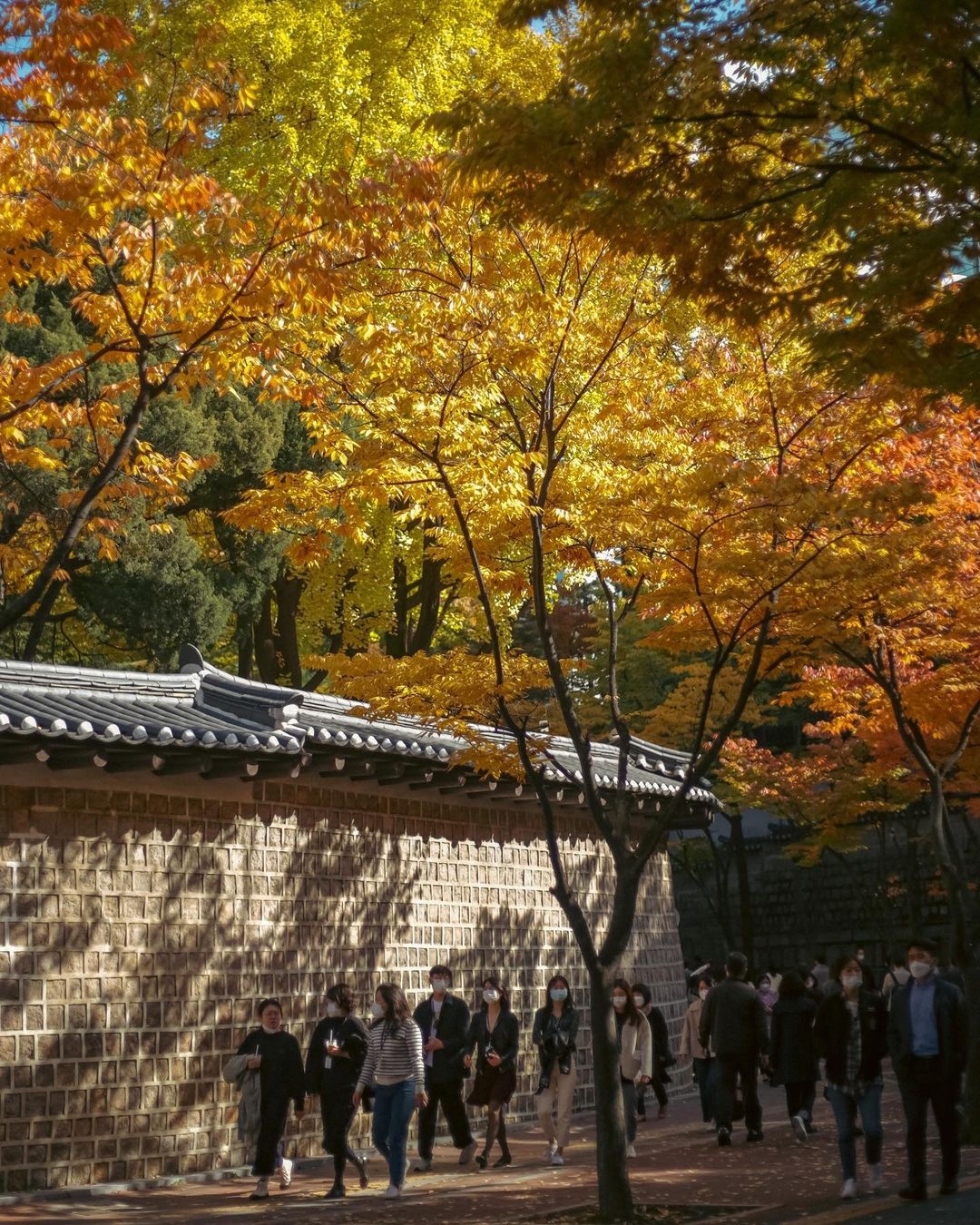 mùa thu Seoul ảnh 9 mua thu Seoul anh 9