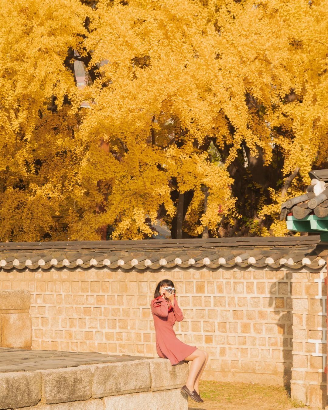 mùa thu Seoul ảnh 6 mua thu Seoul anh 6
