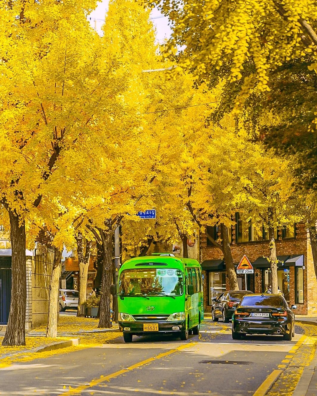 mùa thu Seoul ảnh 8 mua thu Seoul anh 8