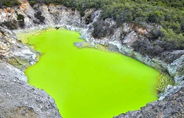 Bi an trong 'phong tam cua quy' nong nac mui trung thoi o New Zealand hinh anh