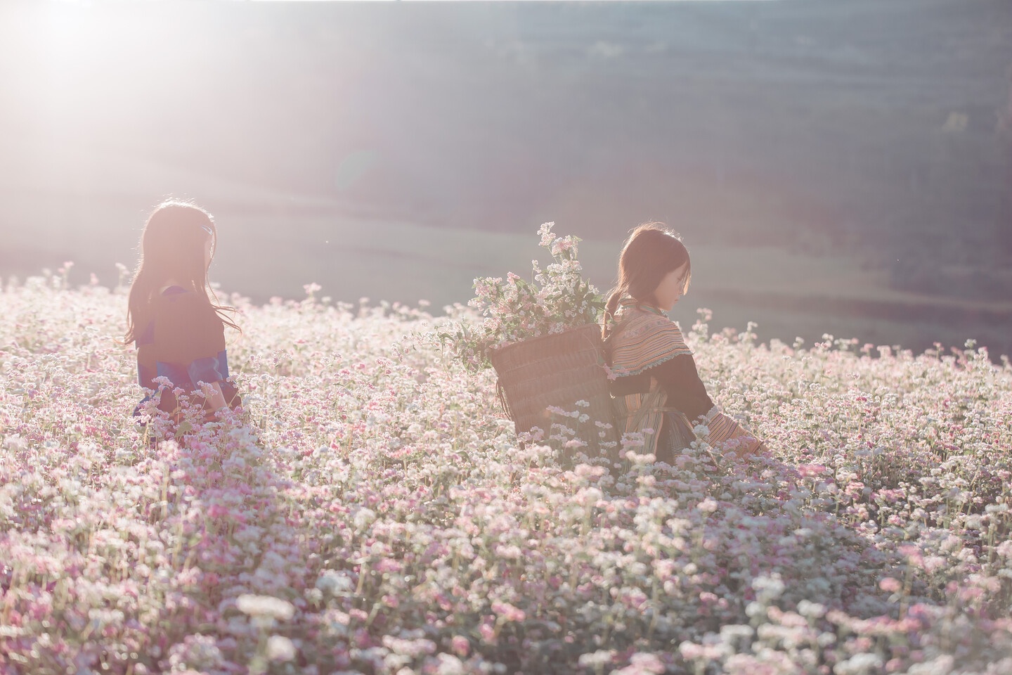 Tam giac mach Ha Giang anh 9