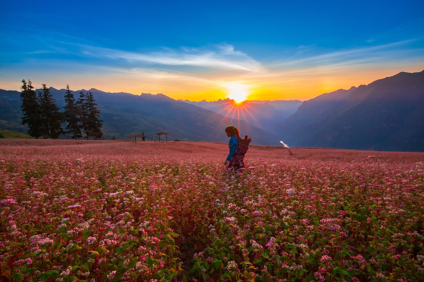 Tam giac mach Ha Giang anh 6