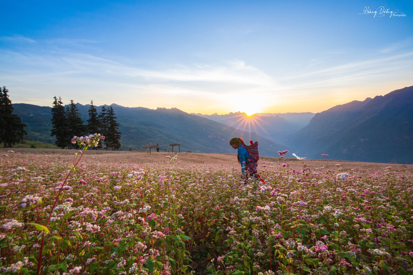 Tam giac mach Ha Giang anh 7