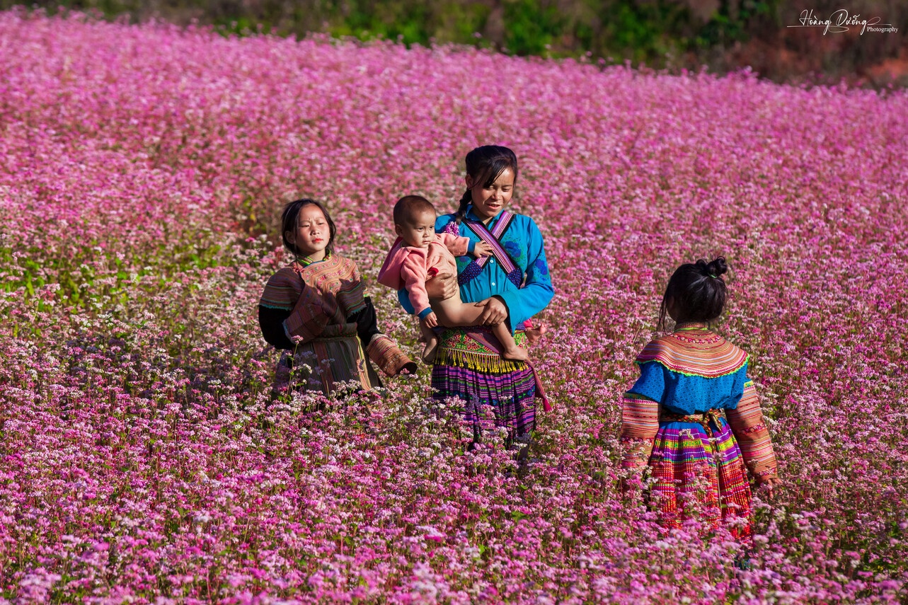 Tam giac mach Ha Giang anh 8