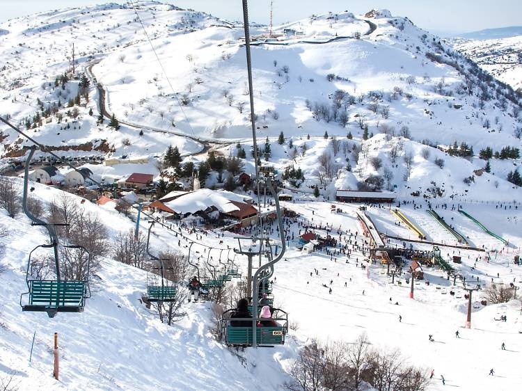 du lich chau A anh 8