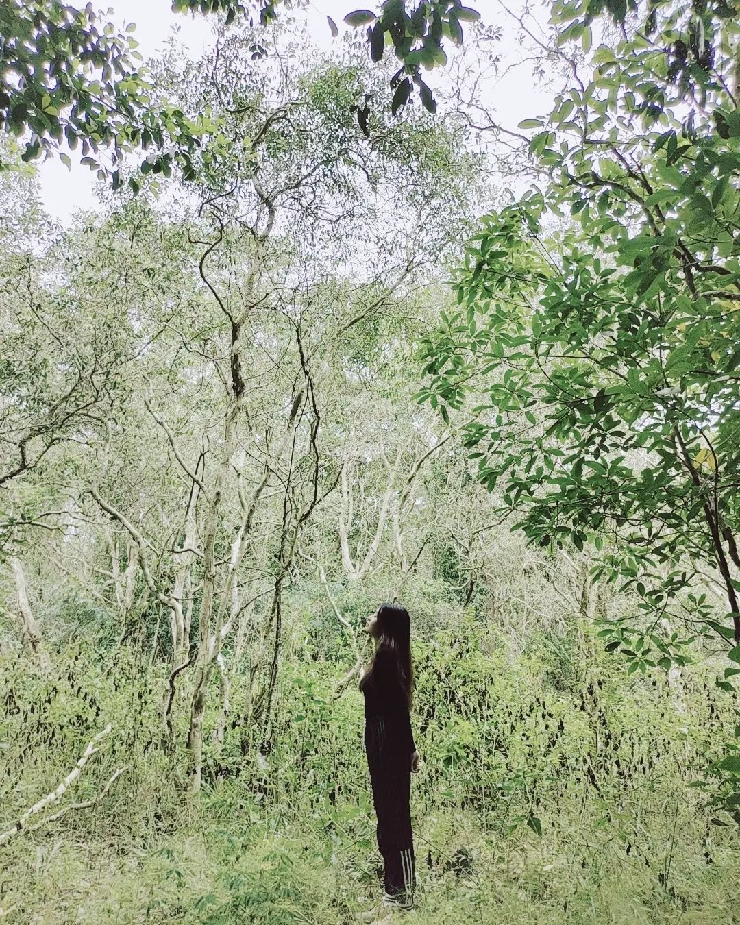 Hồ Tràm ảnh 3 Ho Tram anh 3