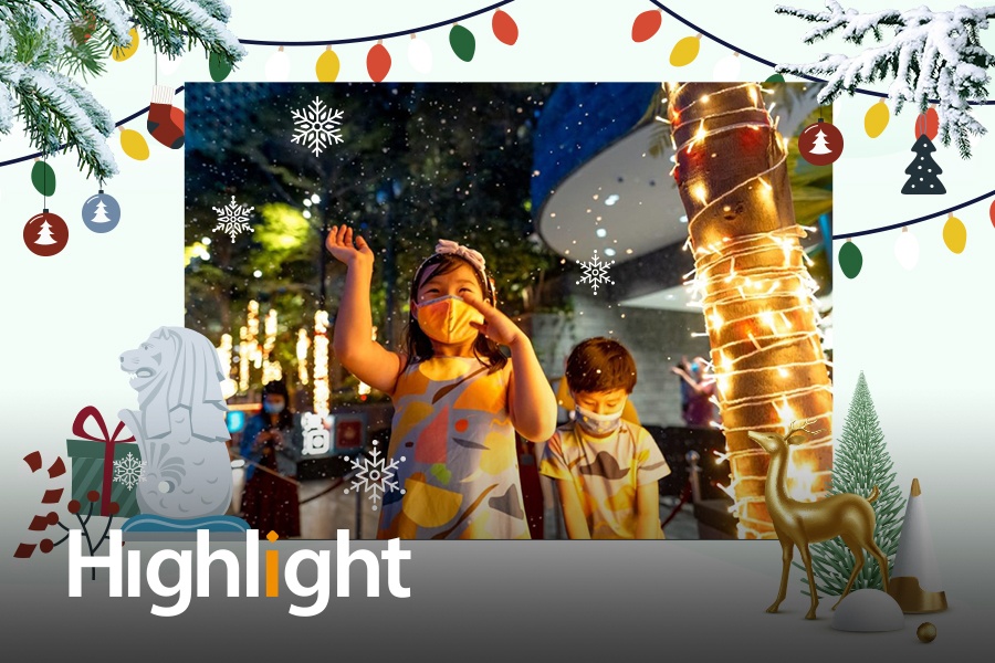 Trai nghiem Giang sinh o nhung dia diem soi dong nhat Singapore hinh anh