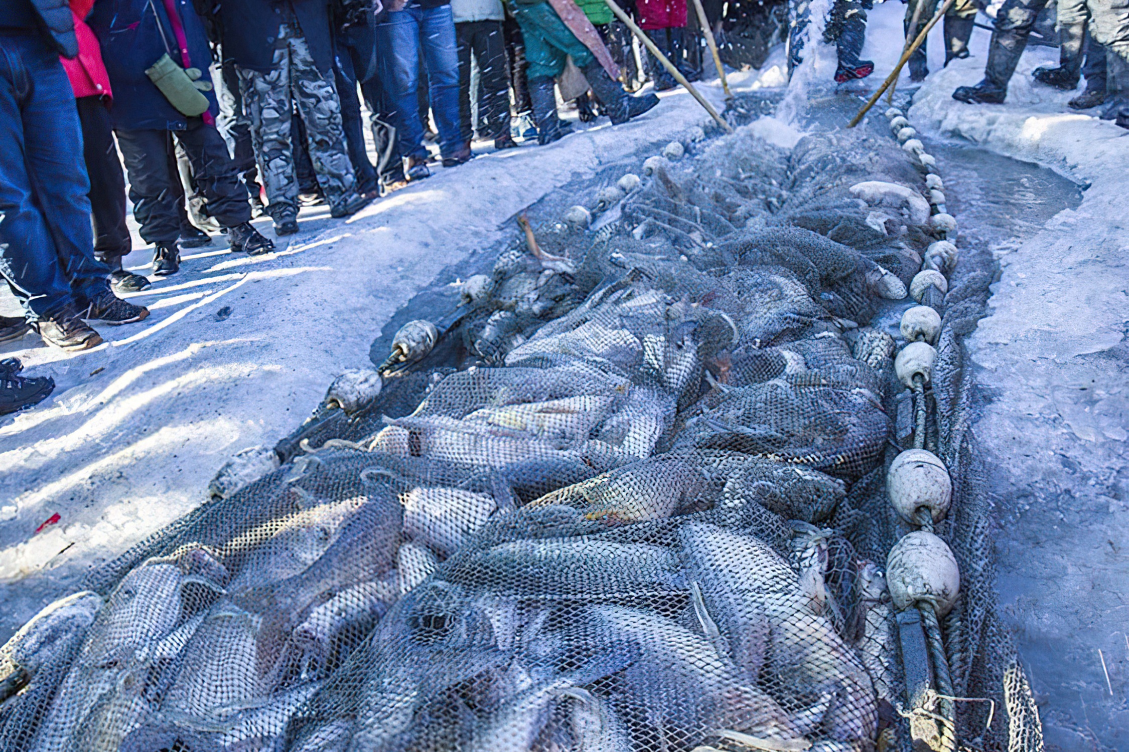 Cau ca tren ho dong bang vao mua dong o Trung Quoc hinh anh