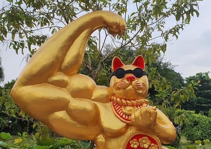 Linh vat meo Tet Quy Mao khap Viet Nam hinh anh