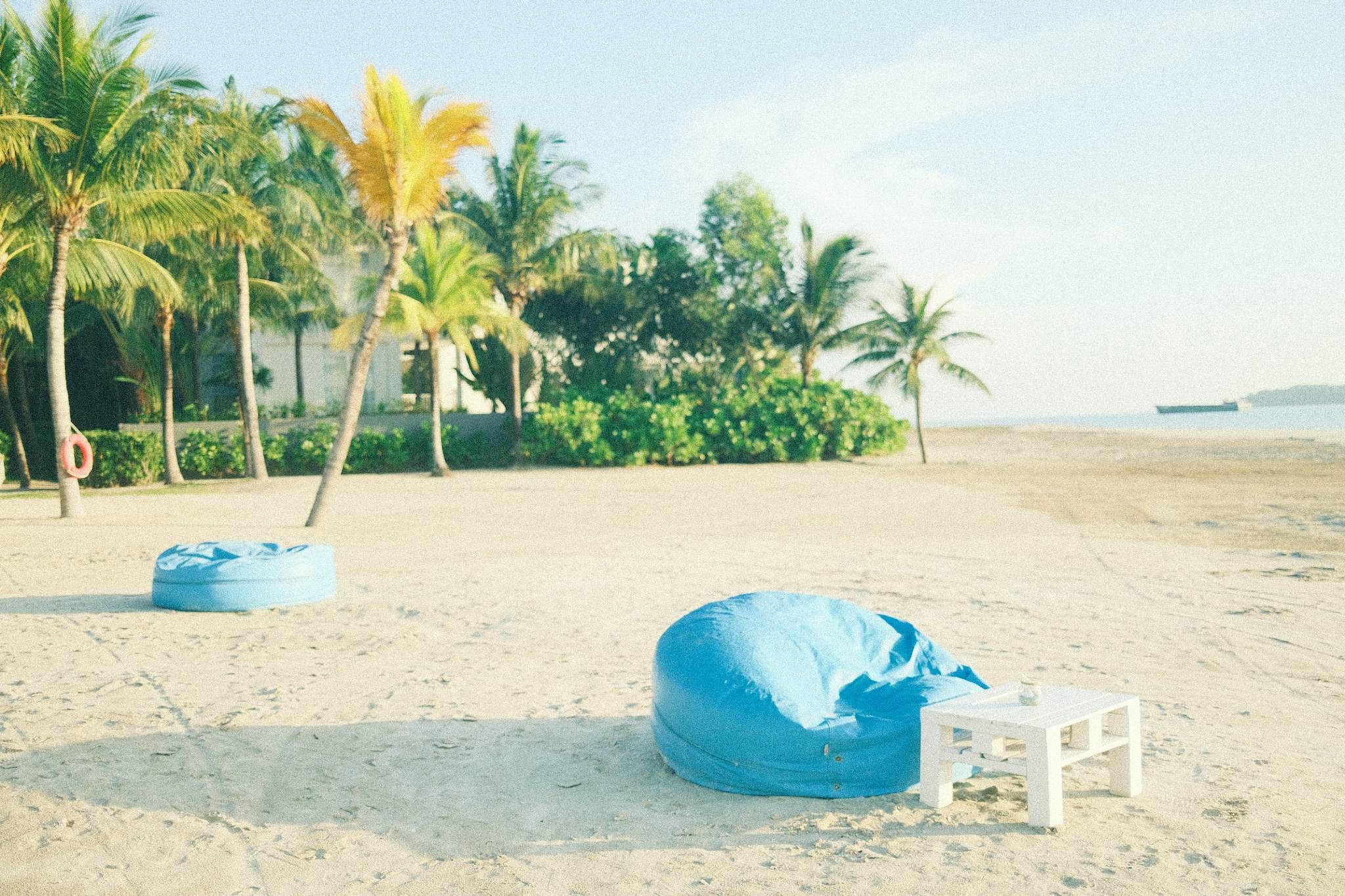 xu huong du lich anh 4