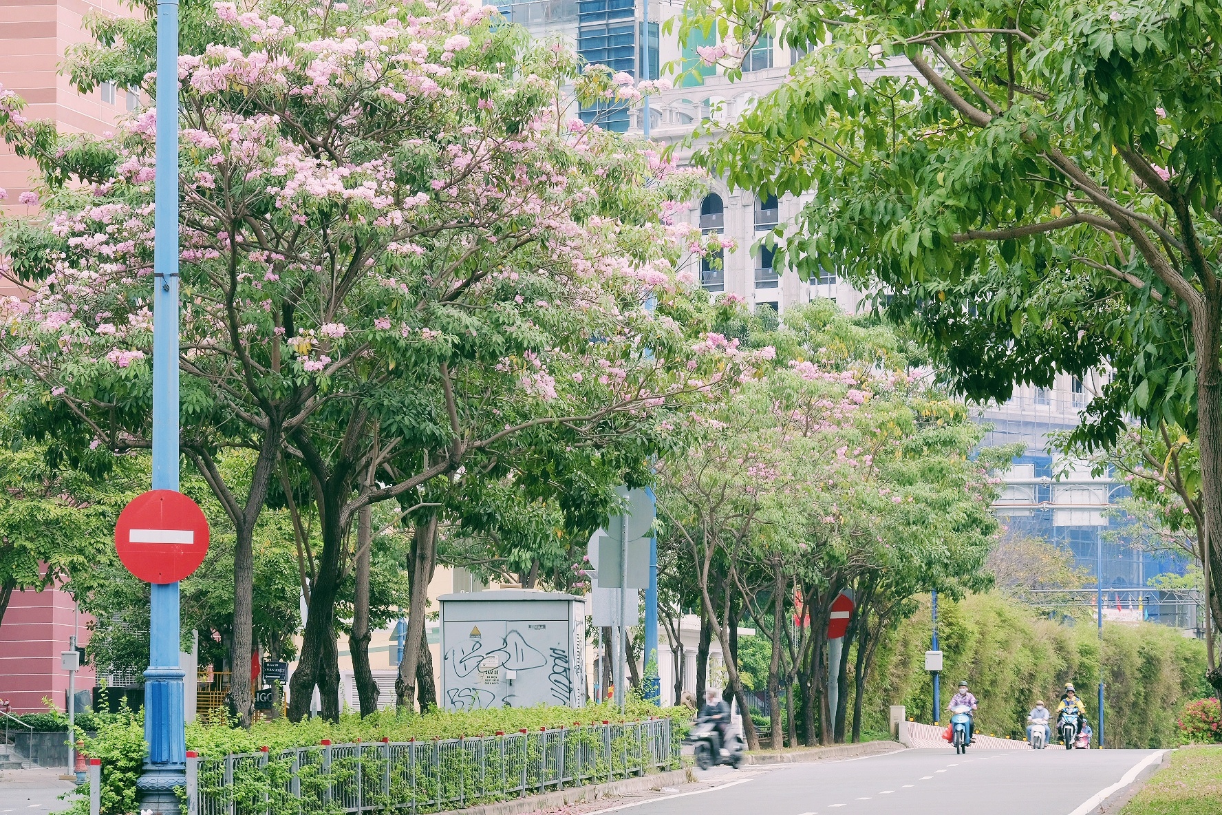 ken hong TP.HCM anh 21