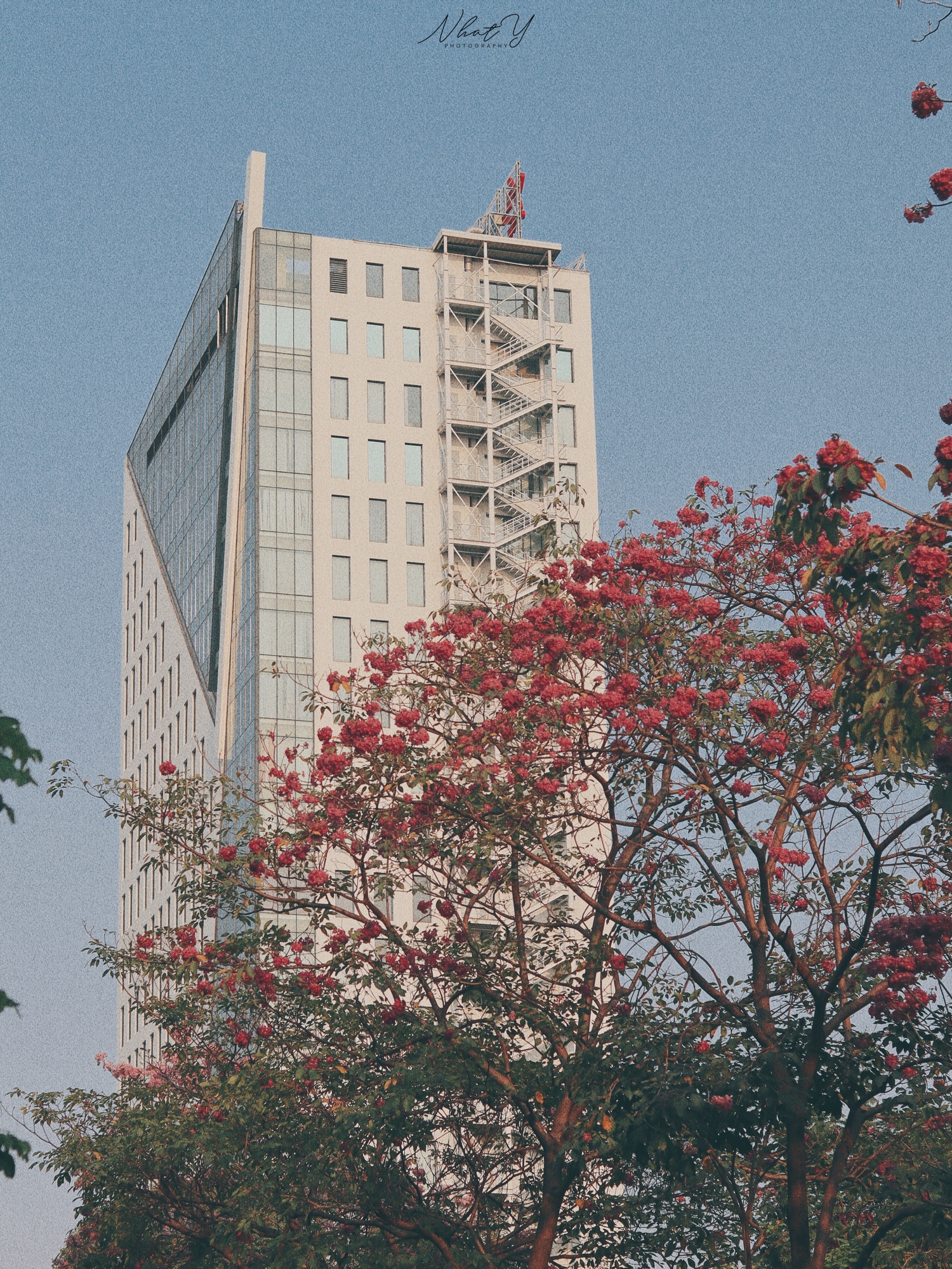 ken hong TP.HCM anh 8