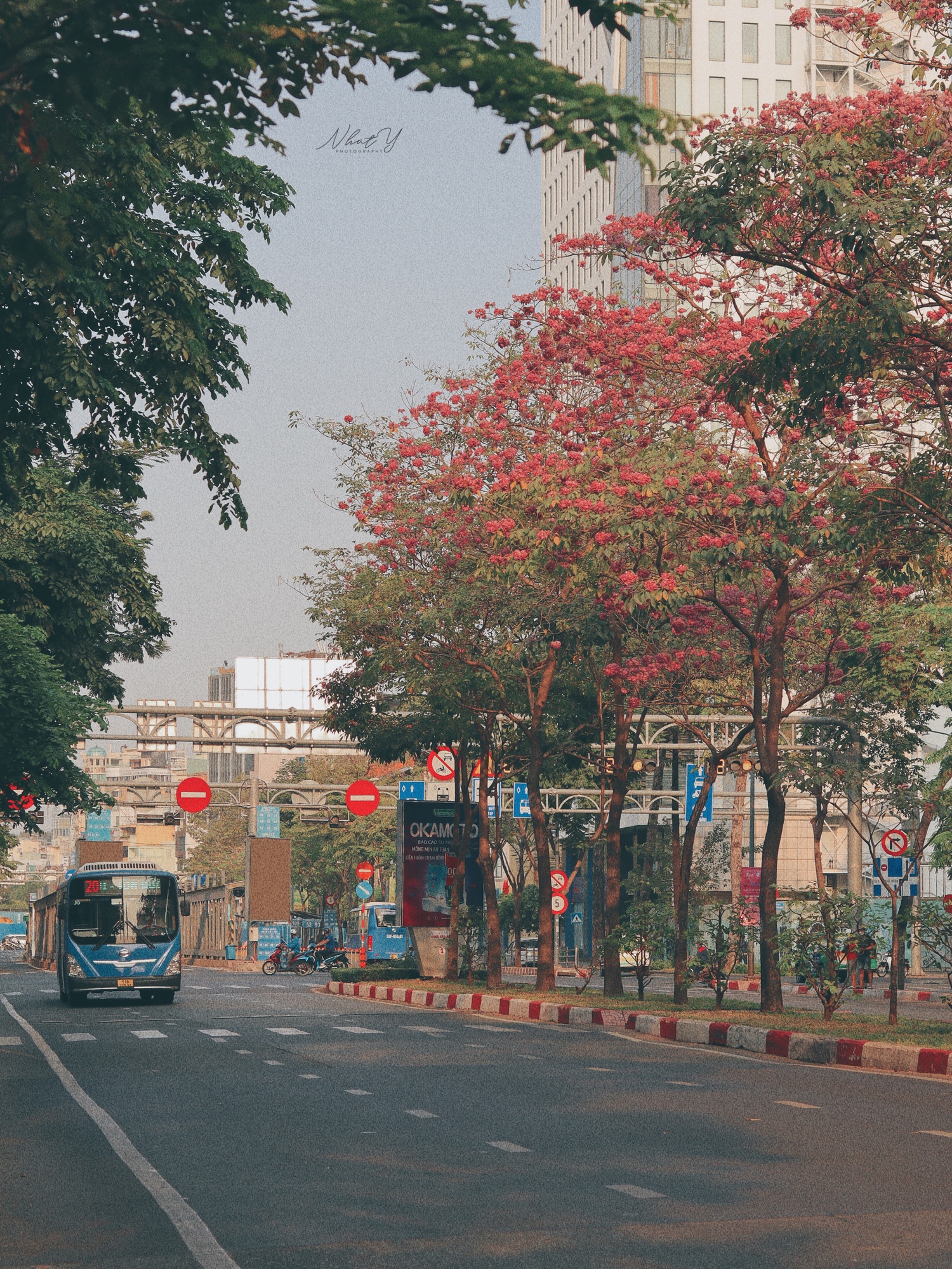 ken hong TP.HCM anh 9