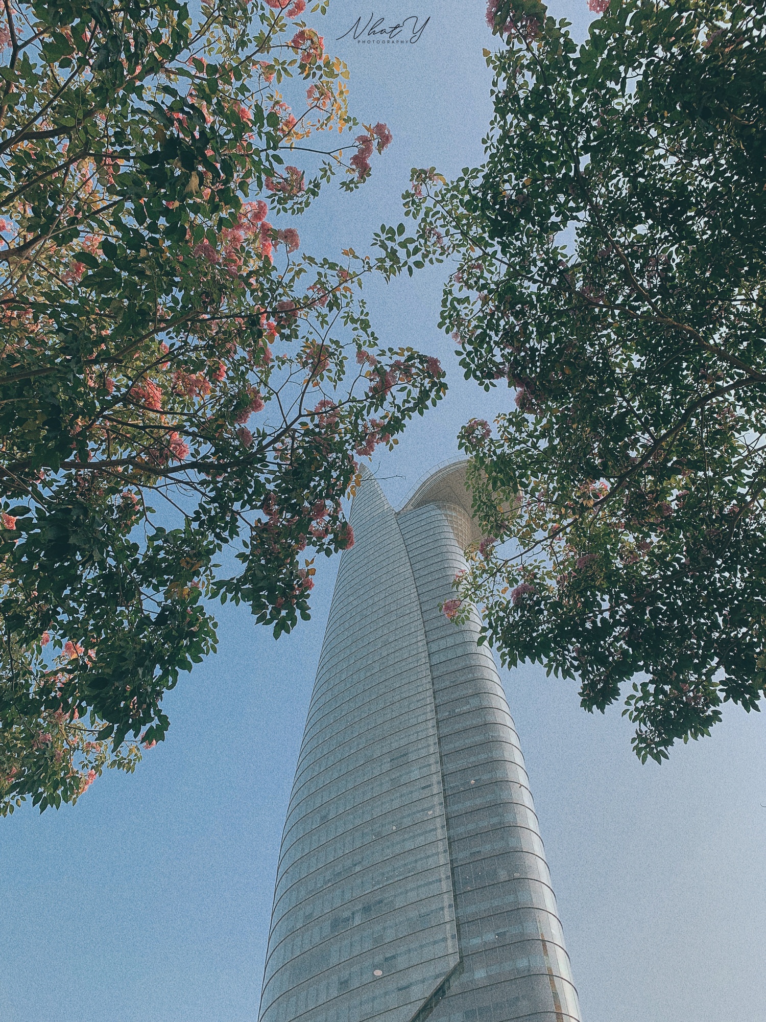 ken hong TP.HCM anh 10