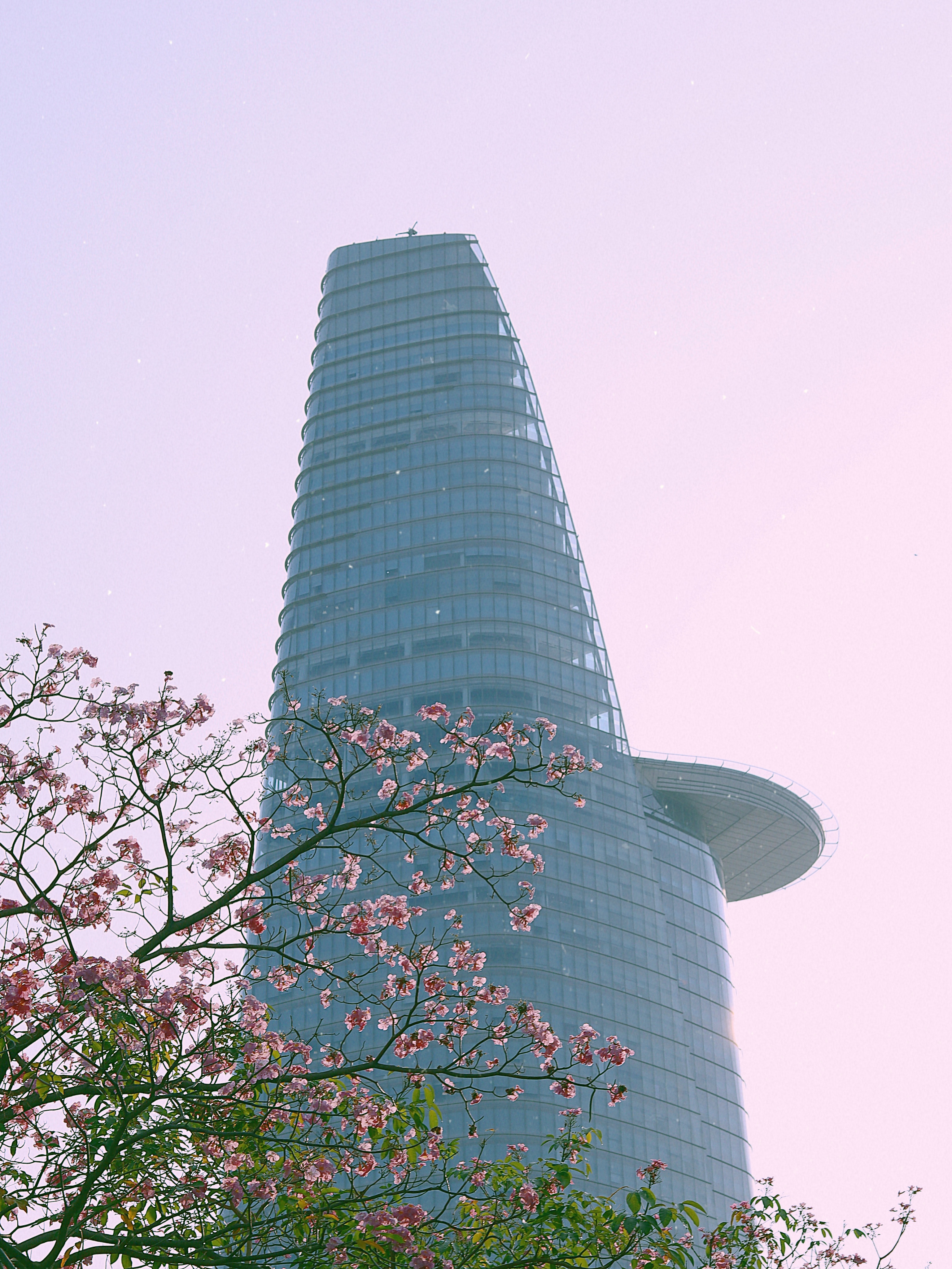 ken hong TP.HCM anh 3