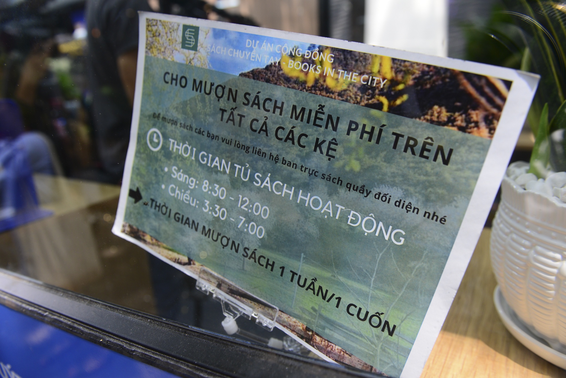 Khai truong xe buyt sach anh 7