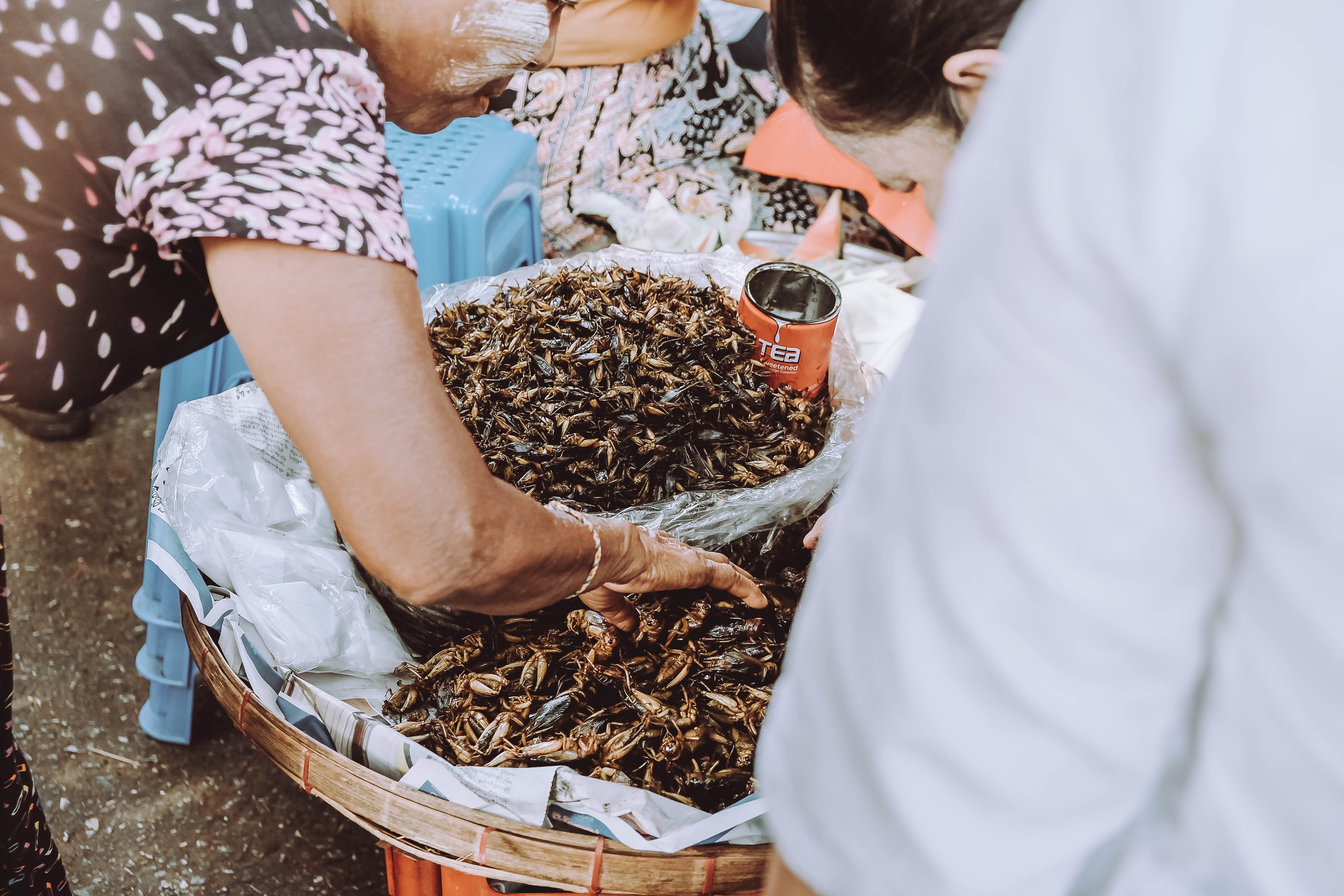 Myanmar ảnh 4 Myanmar anh 4