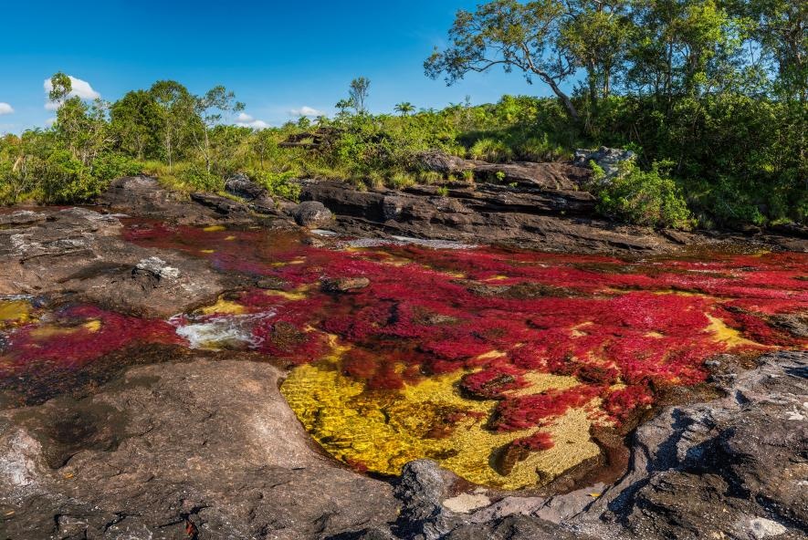 Thiên nhiên ảnh 3 Thien nhien anh 3